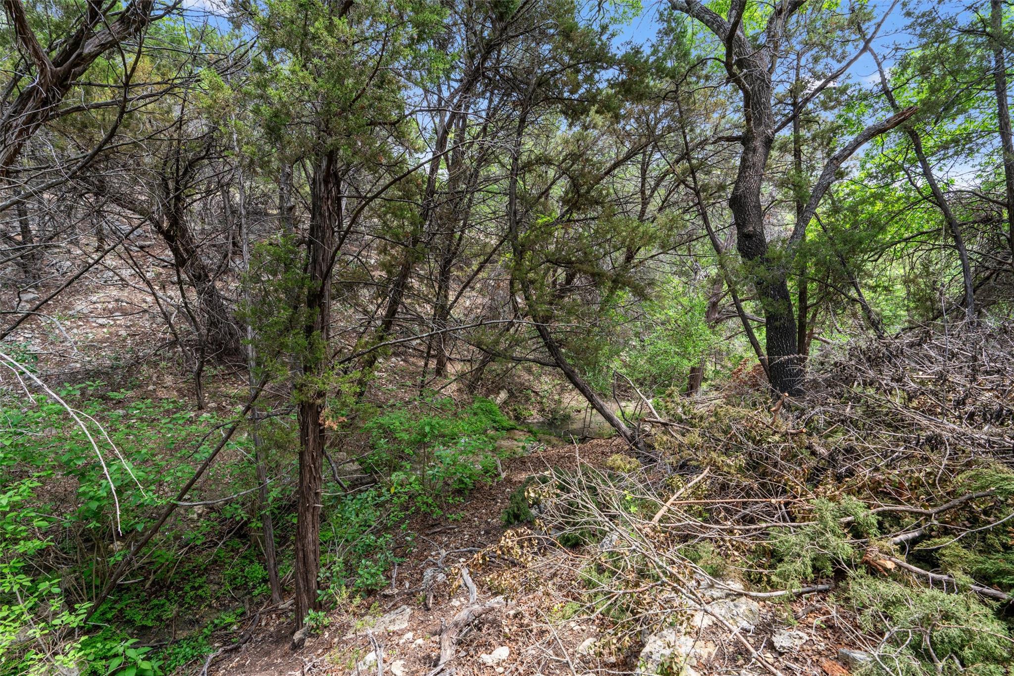 17621 Hunters Holw, Jonestown, TX 78645