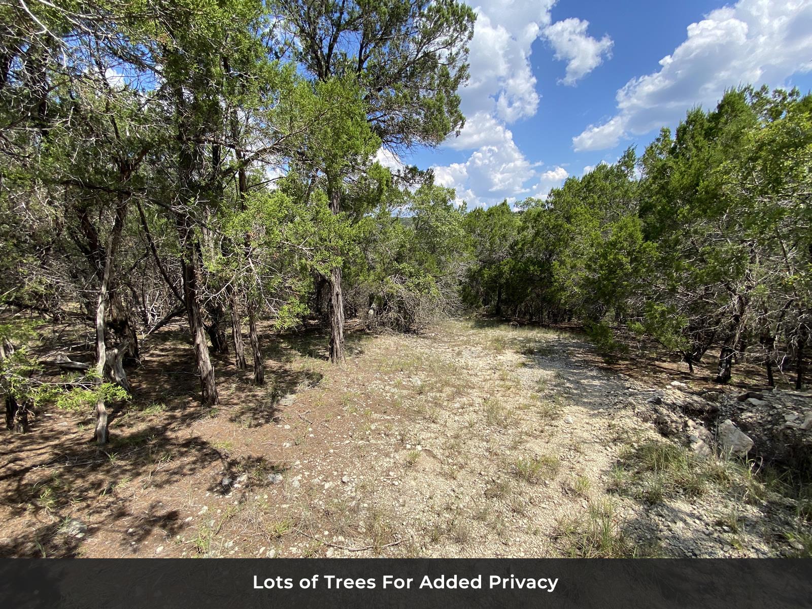 19201 W Reed Parks Rd, Jonestown, TX 78645