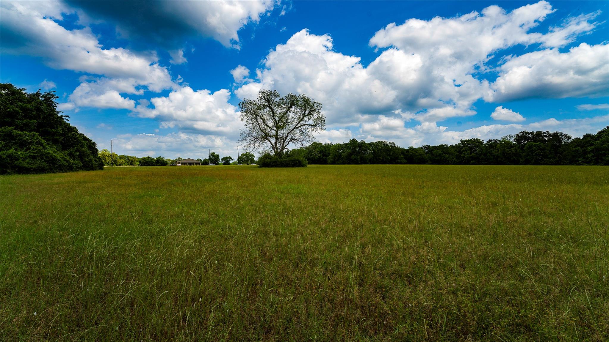 TBD FM 1488, Magnolia, TX 77355