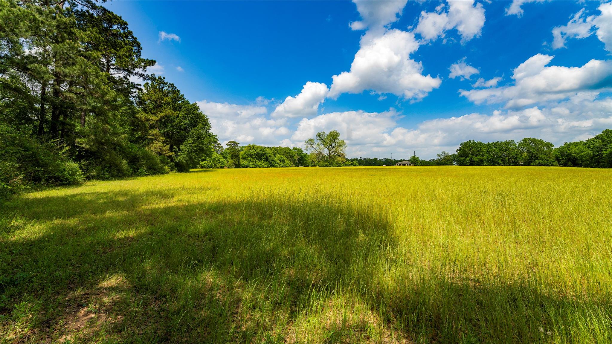 TBD FM 1488, Magnolia, TX 77355