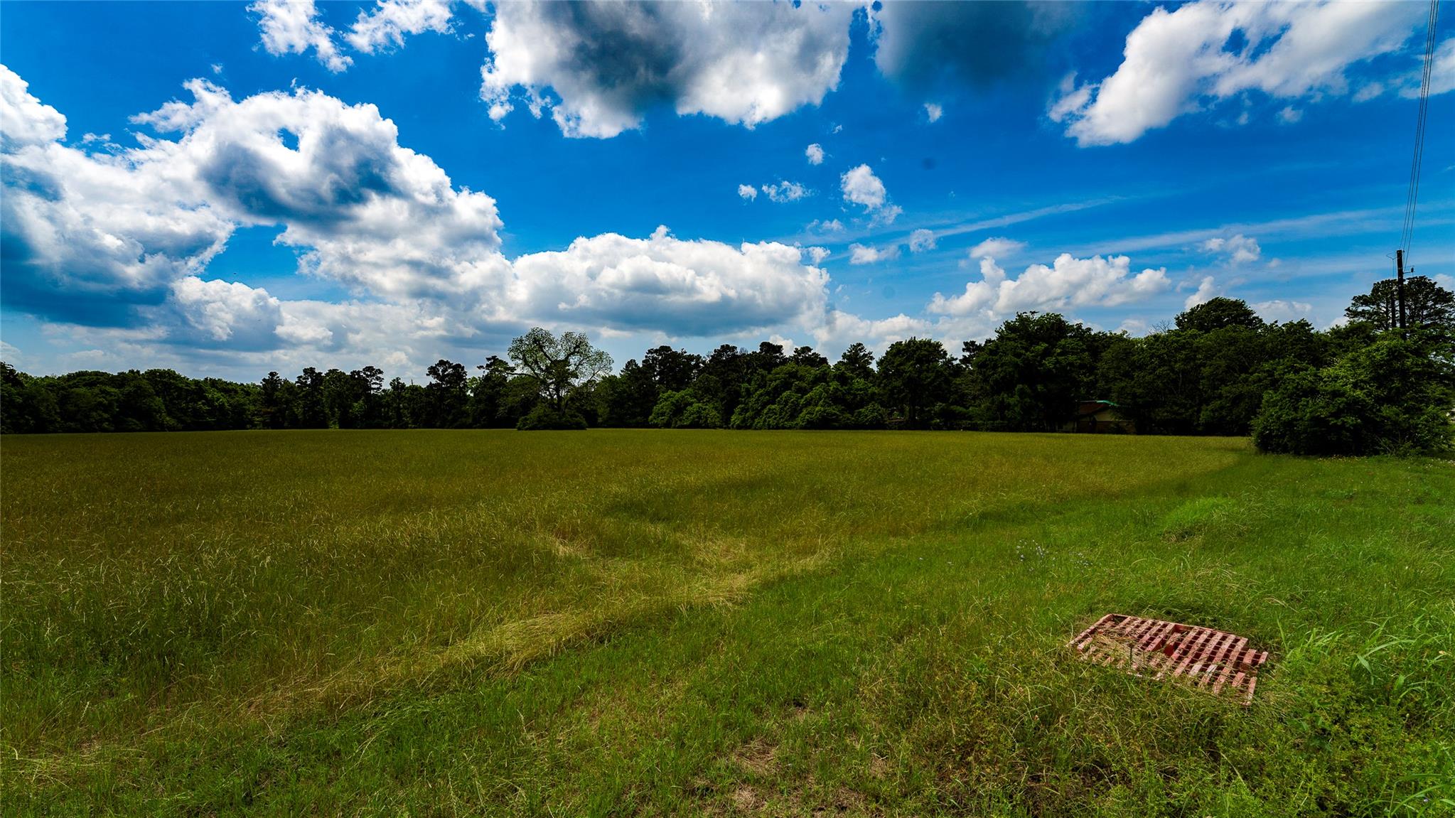 TBD FM 1488, Magnolia, TX 77355