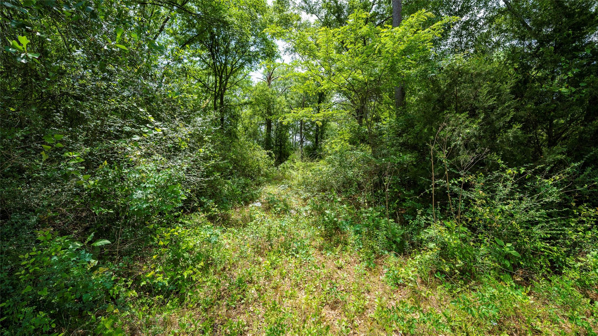 TBD FM 1488, Magnolia, TX 77355