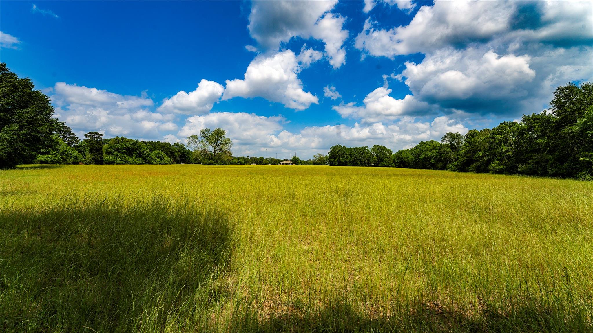 TBD FM 1488, Magnolia, TX 77355