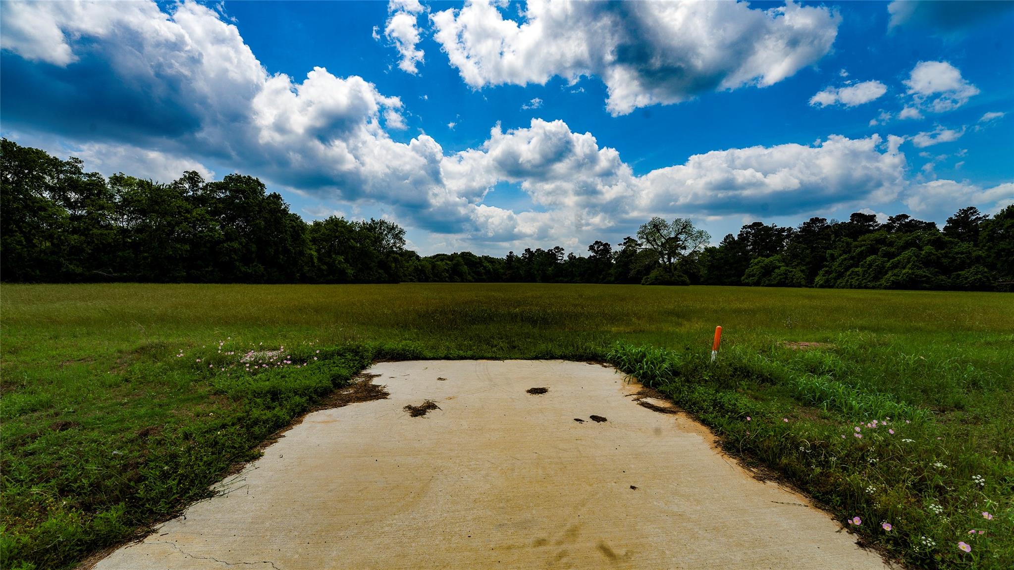 TBD FM 1488, Magnolia, TX 77355