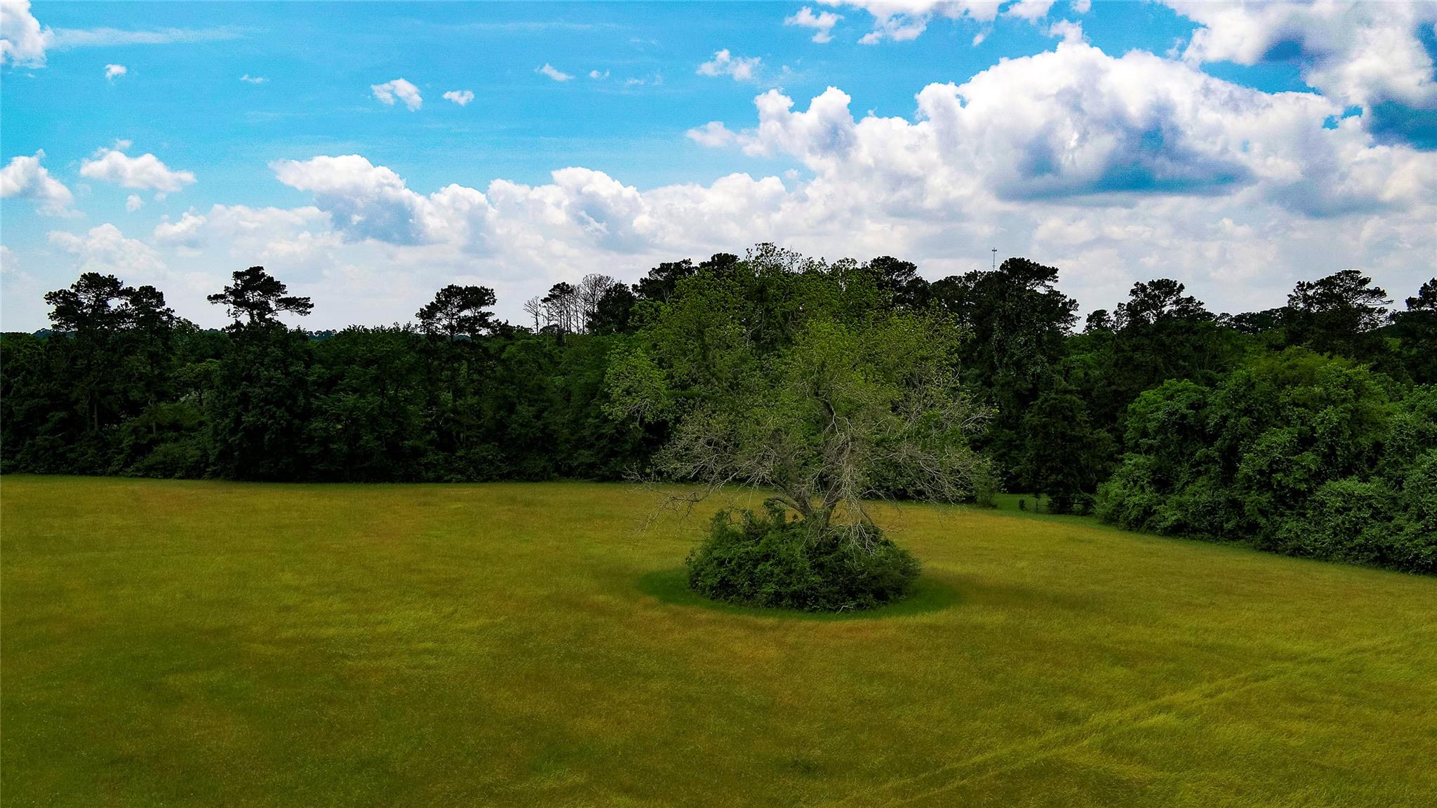 TBD FM 1488, Magnolia, TX 77355