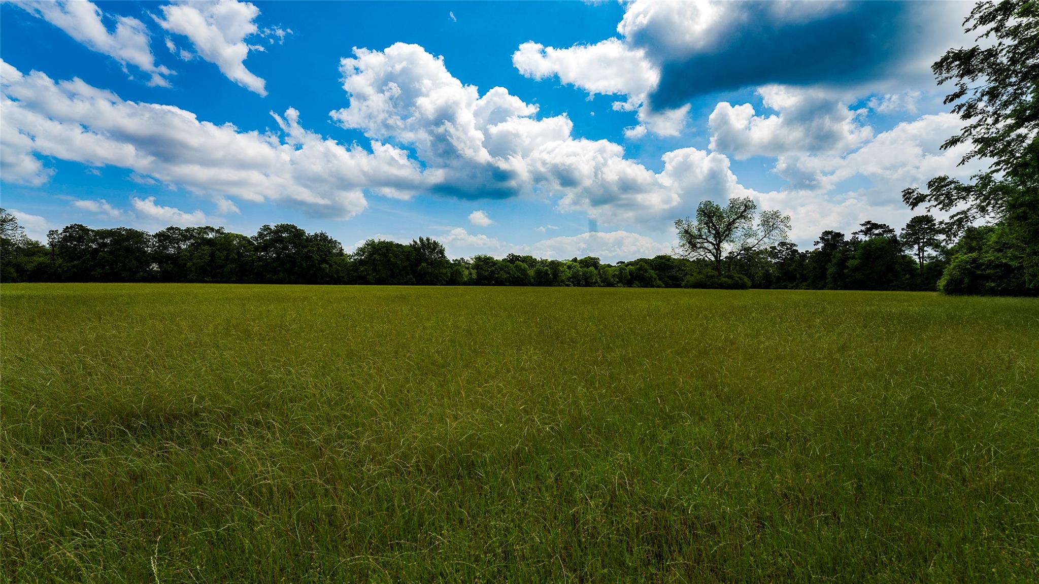 TBD FM 1488, Magnolia, TX 77355