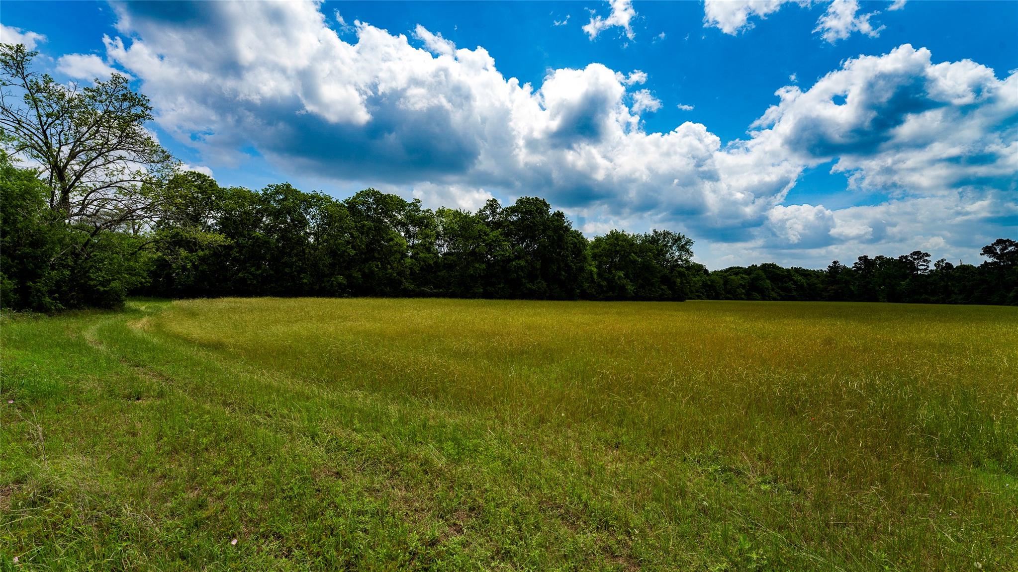 TBD FM 1488, Magnolia, TX 77355