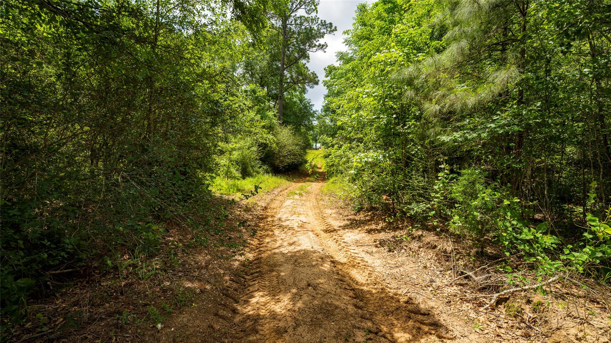 TBD FM 1488, Magnolia, TX 77355