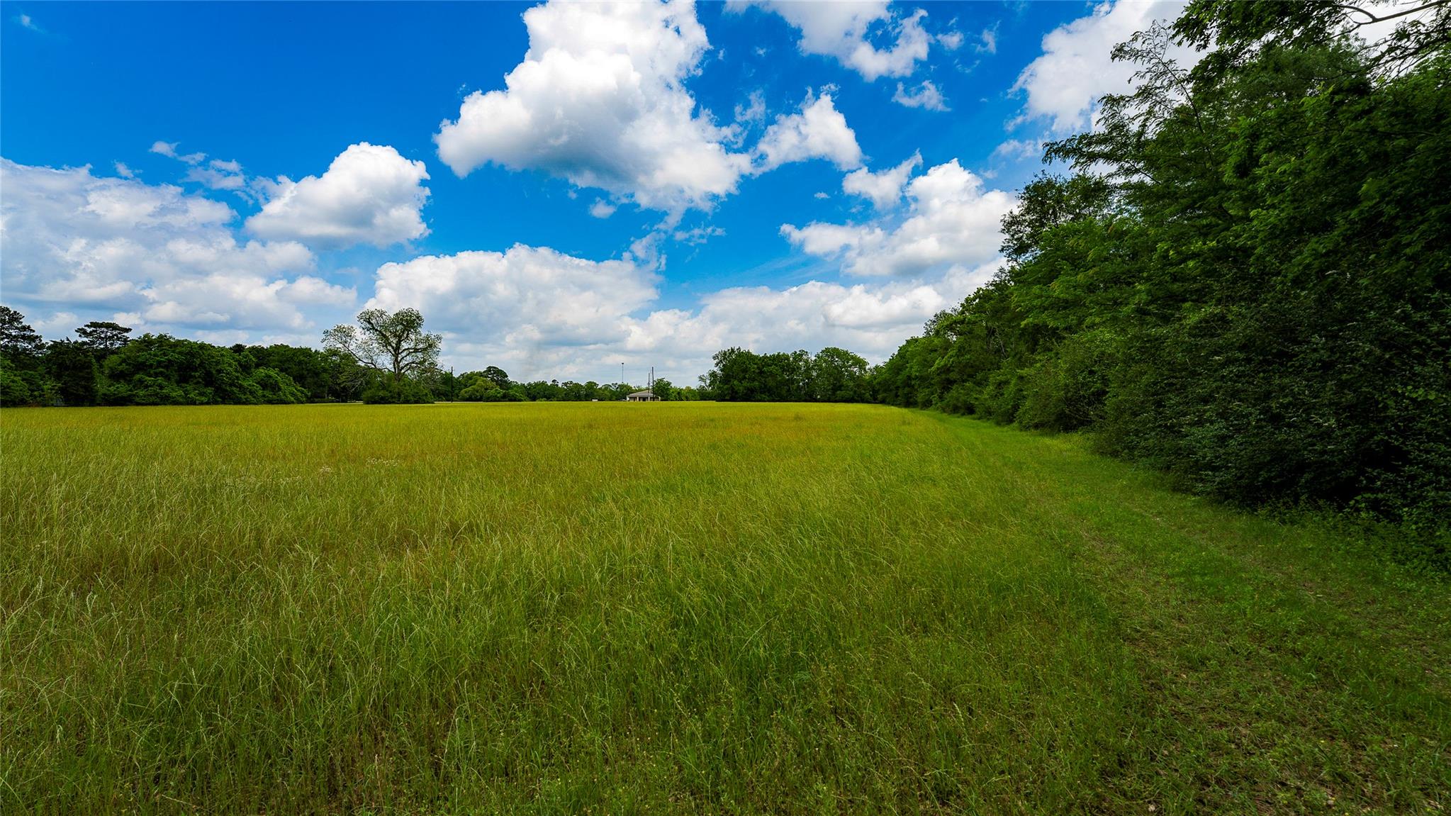 TBD FM 1488, Magnolia, TX 77355