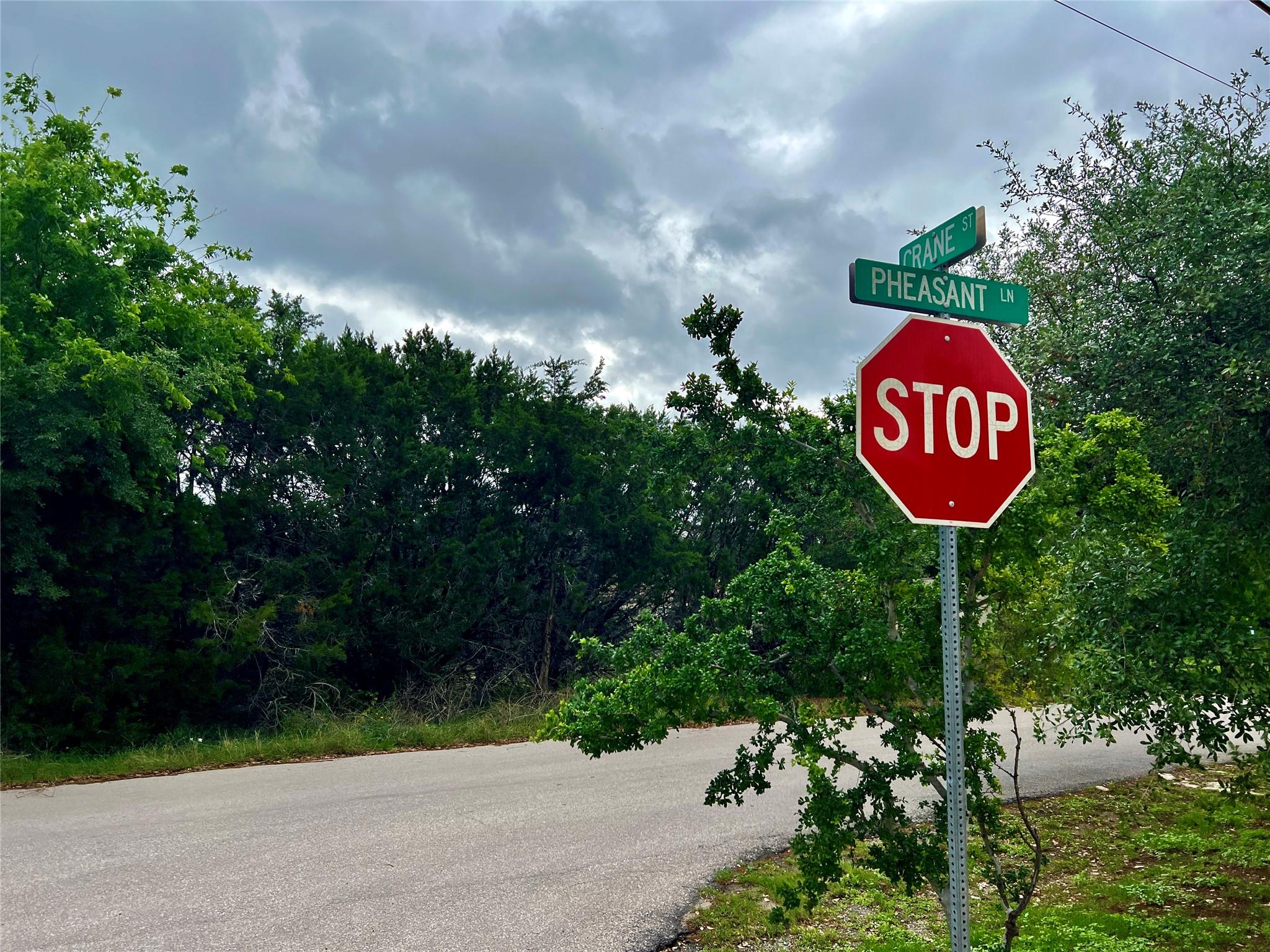 15006 PHEASANT Ln, Austin, TX 78734