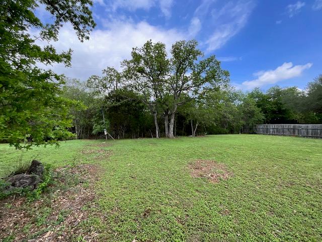 117 Allison Cv, Elgin, TX 78621