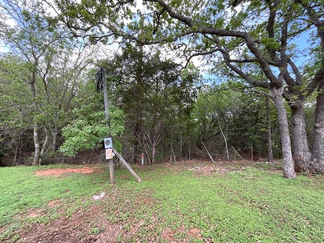 117 Allison Cv, Elgin, TX 78621