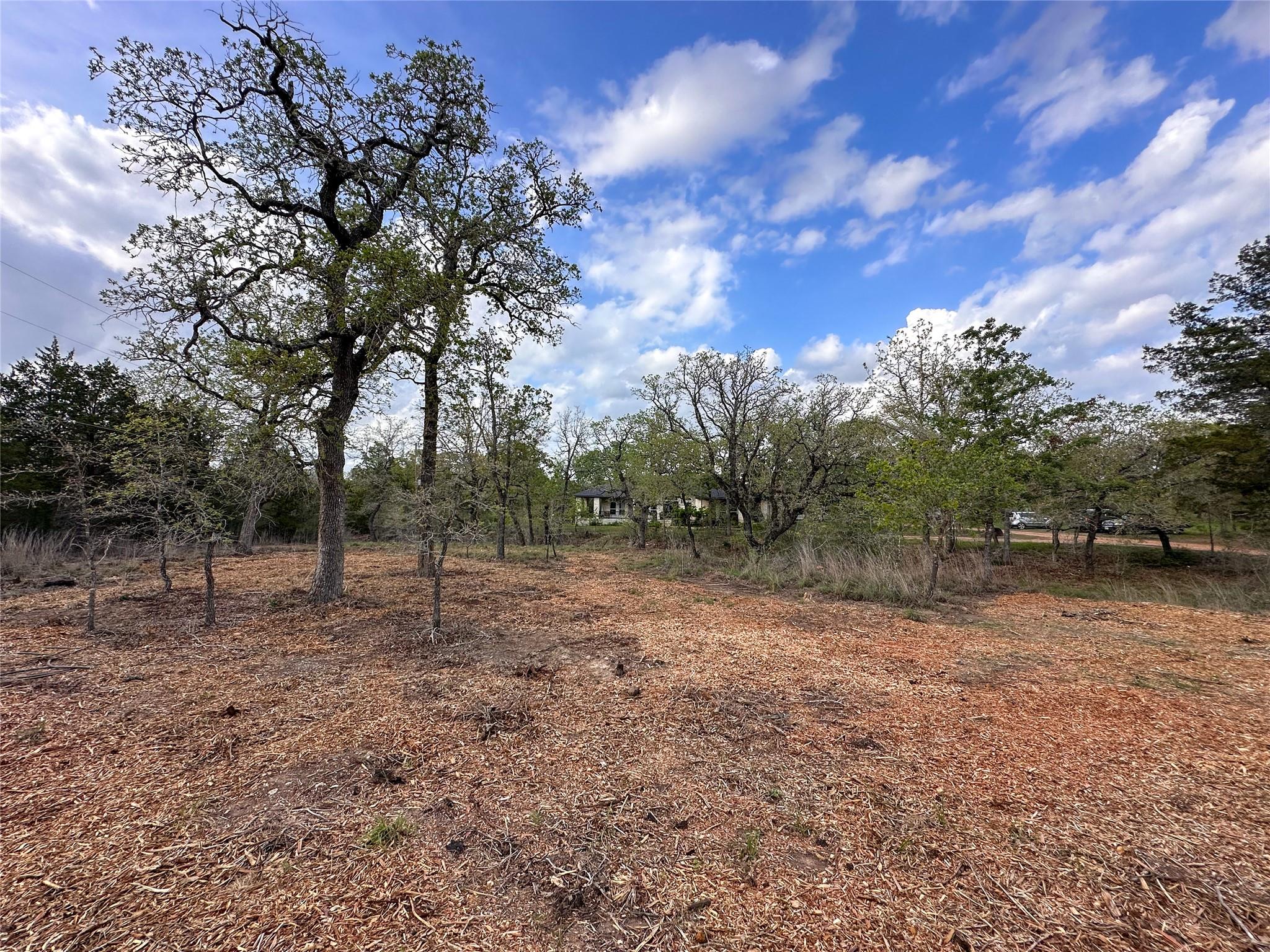 368 Woodlands Dr, Bastrop, TX 78602
