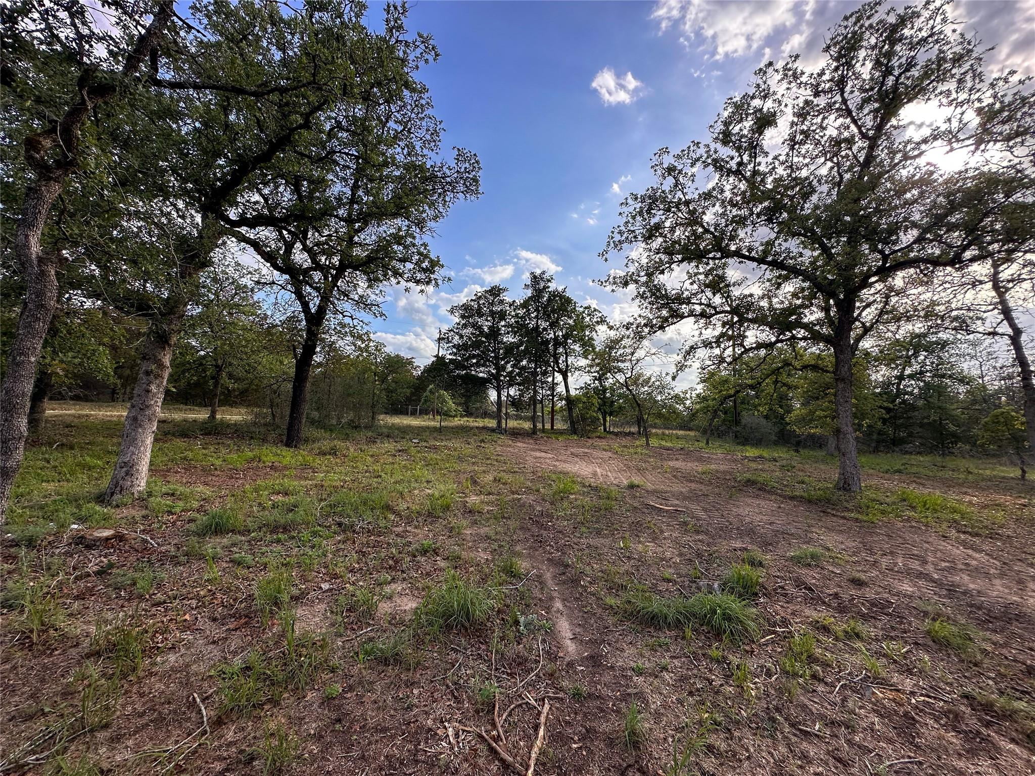368 Woodlands Dr, Bastrop, TX 78602