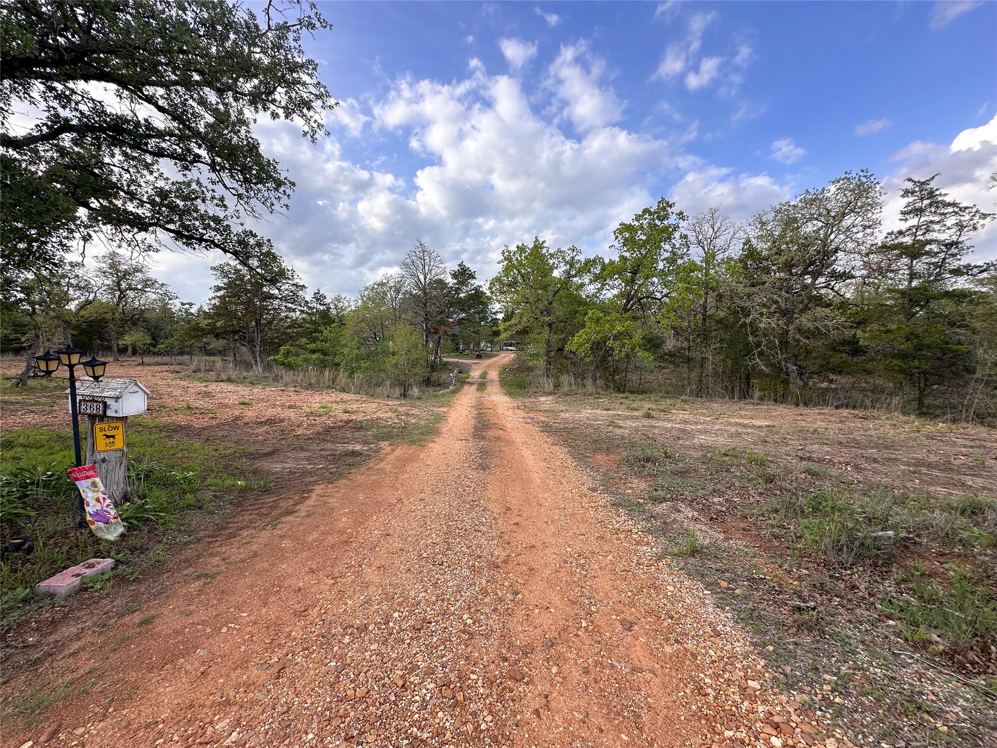 368 Woodlands Dr, Bastrop, TX 78602