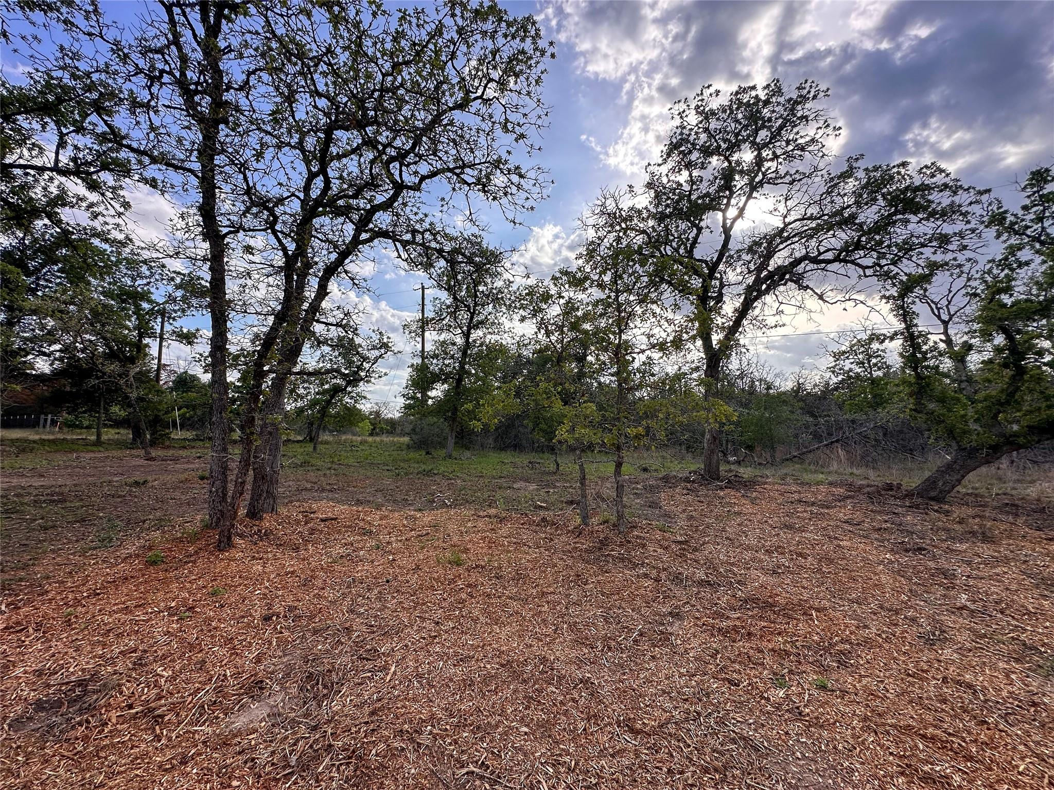 368 Woodlands Dr, Bastrop, TX 78602