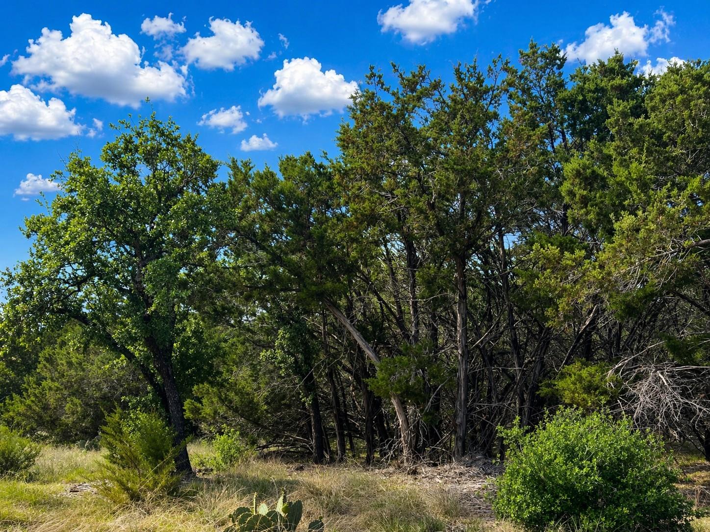 TBD Arrowhead Trail Lot 7, Killeen, TX 76549