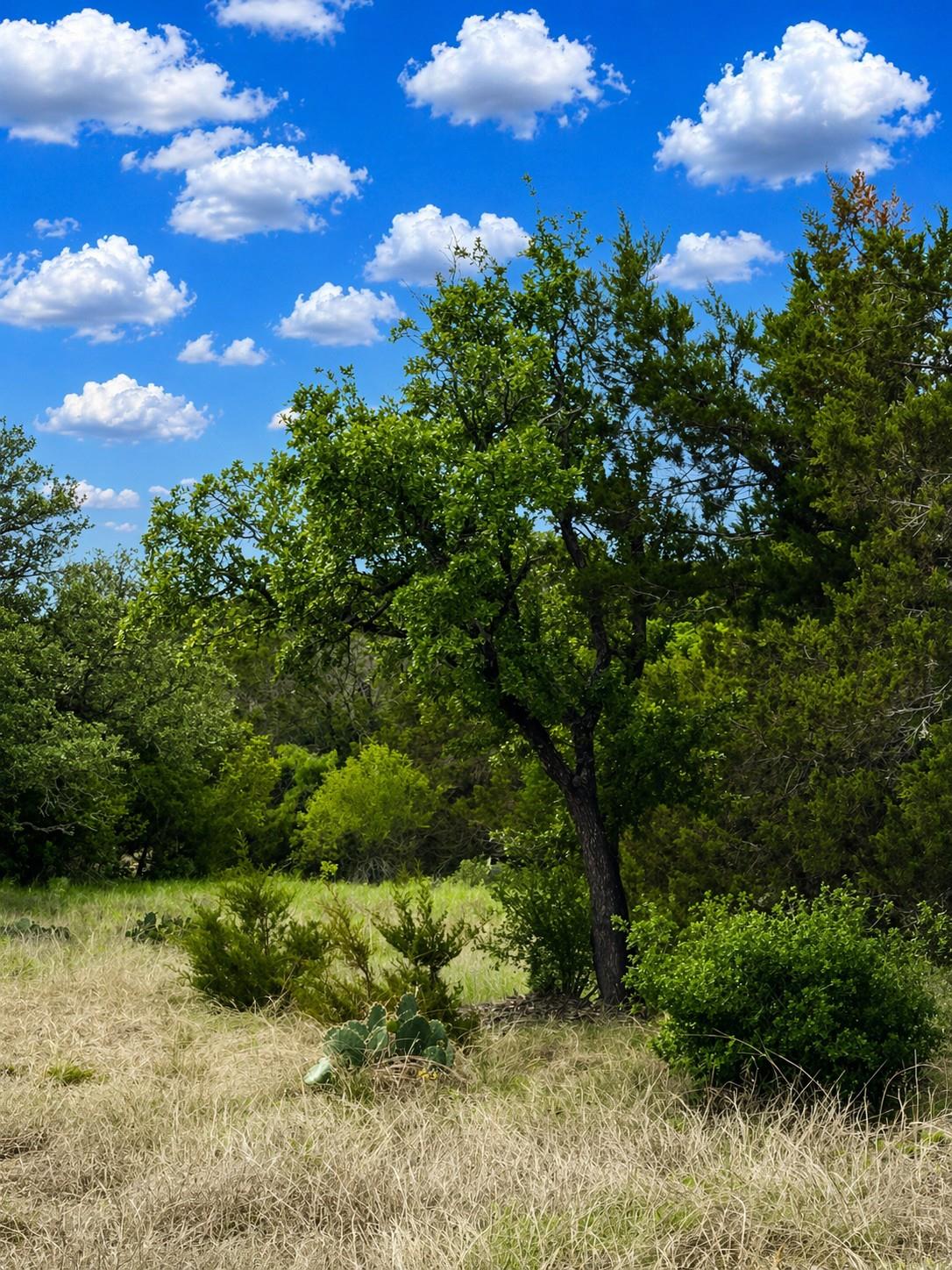 TBD Arrowhead Trail Lot 7, Killeen, TX 76549