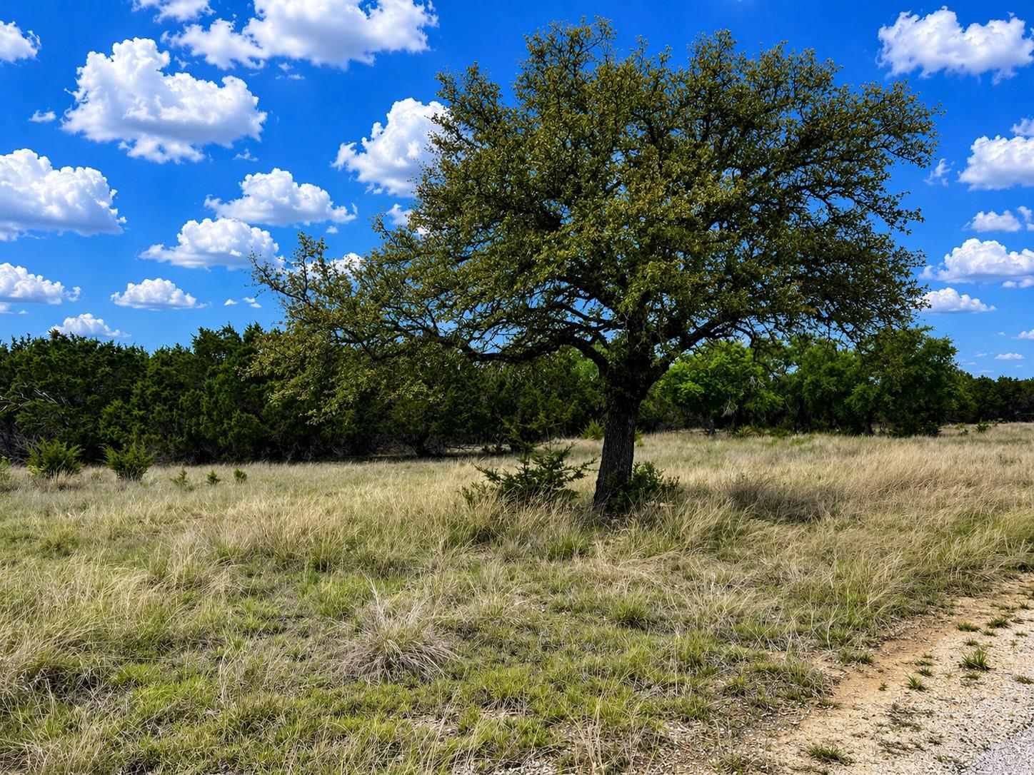 TBD Arrowhead Trail Lot 7, Killeen, TX 76549
