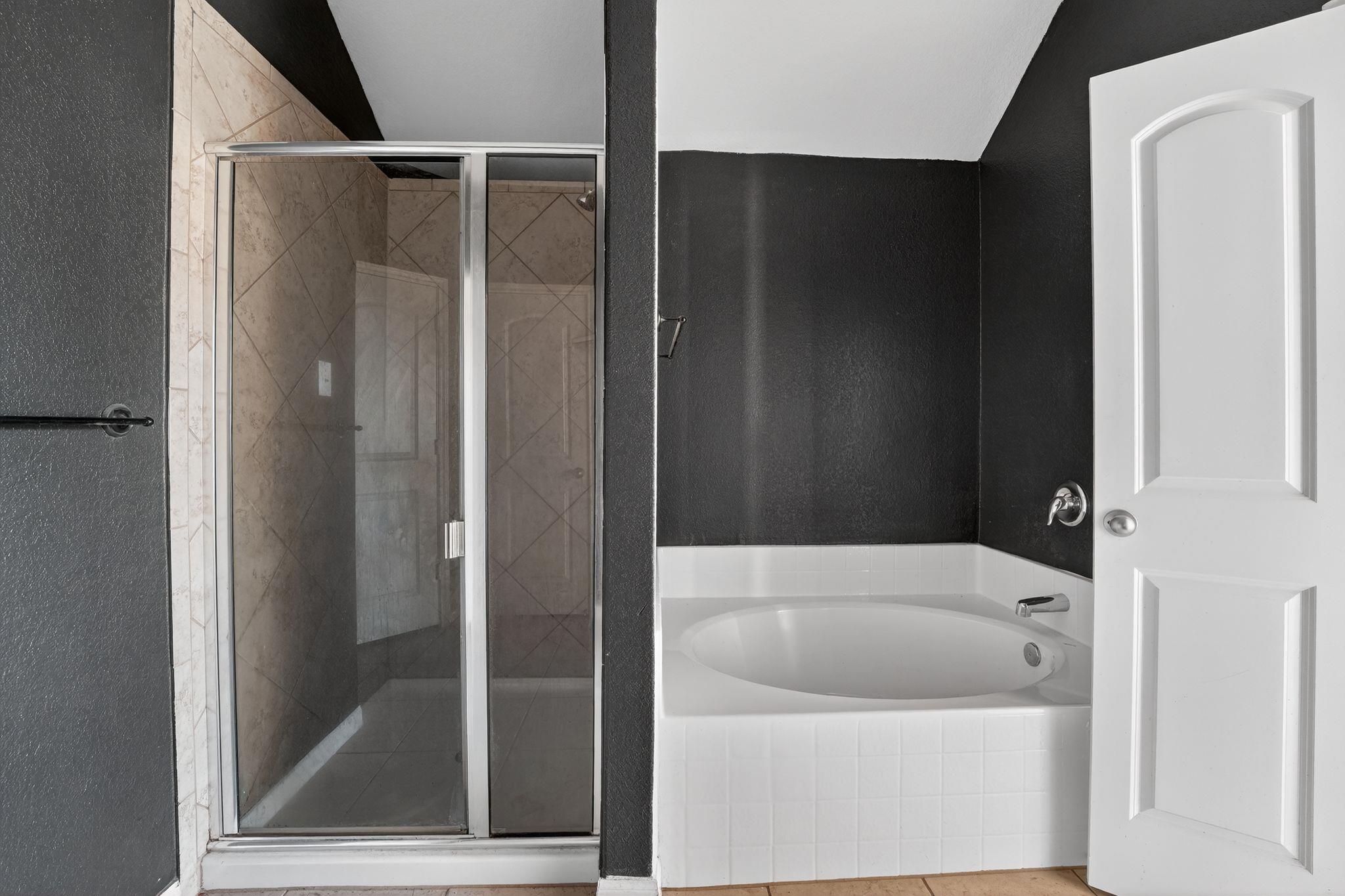 19512 James Manor St, Manor, TX 78653