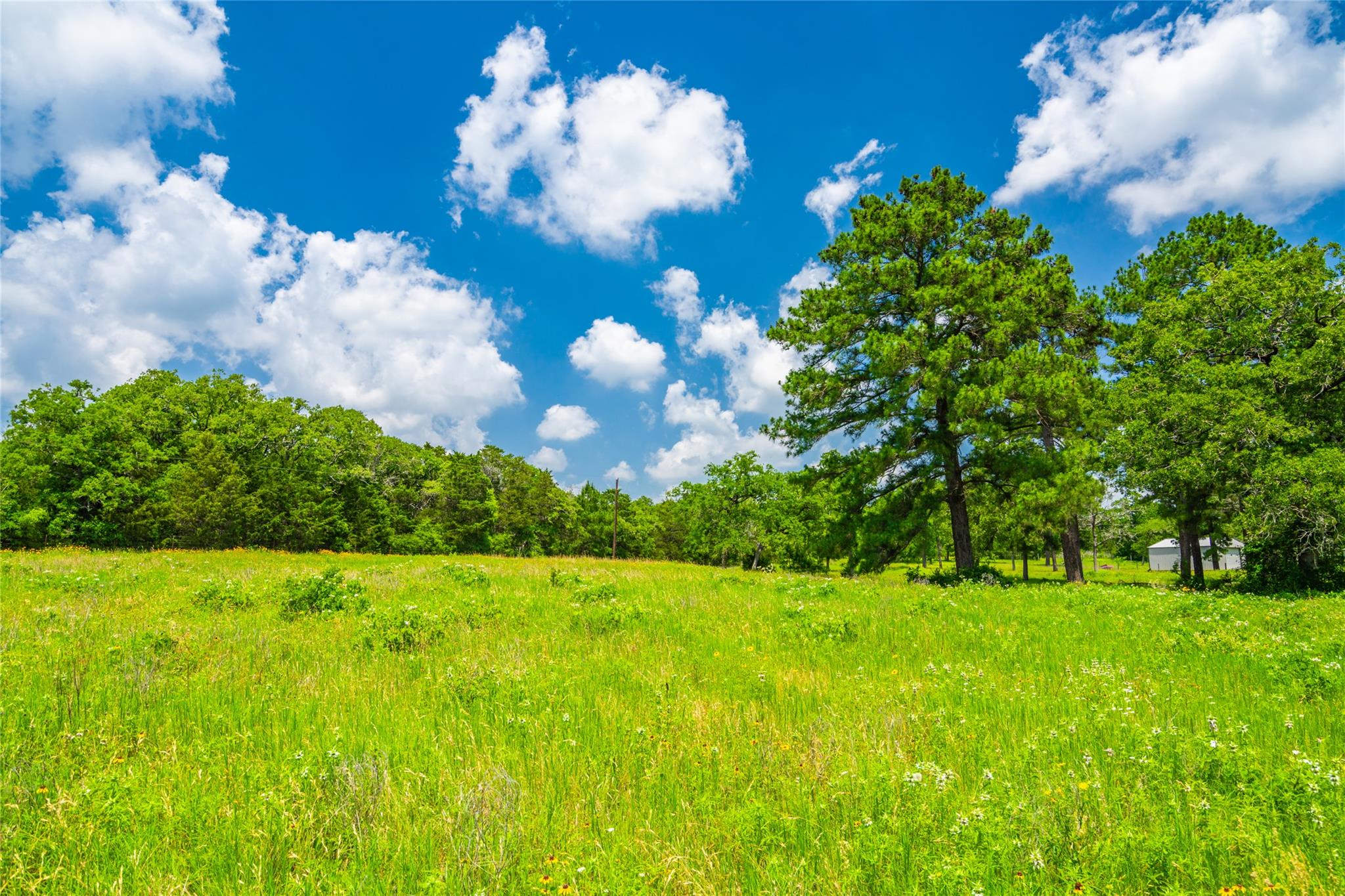 677 Old Antioch Rd, Smithville, TX 78957