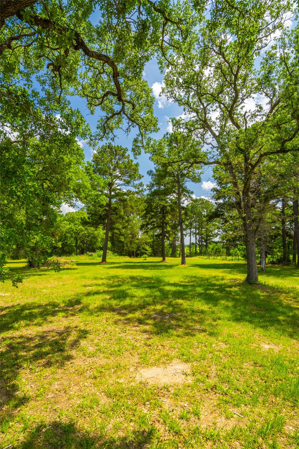 677 Old Antioch Rd, Smithville, TX 78957