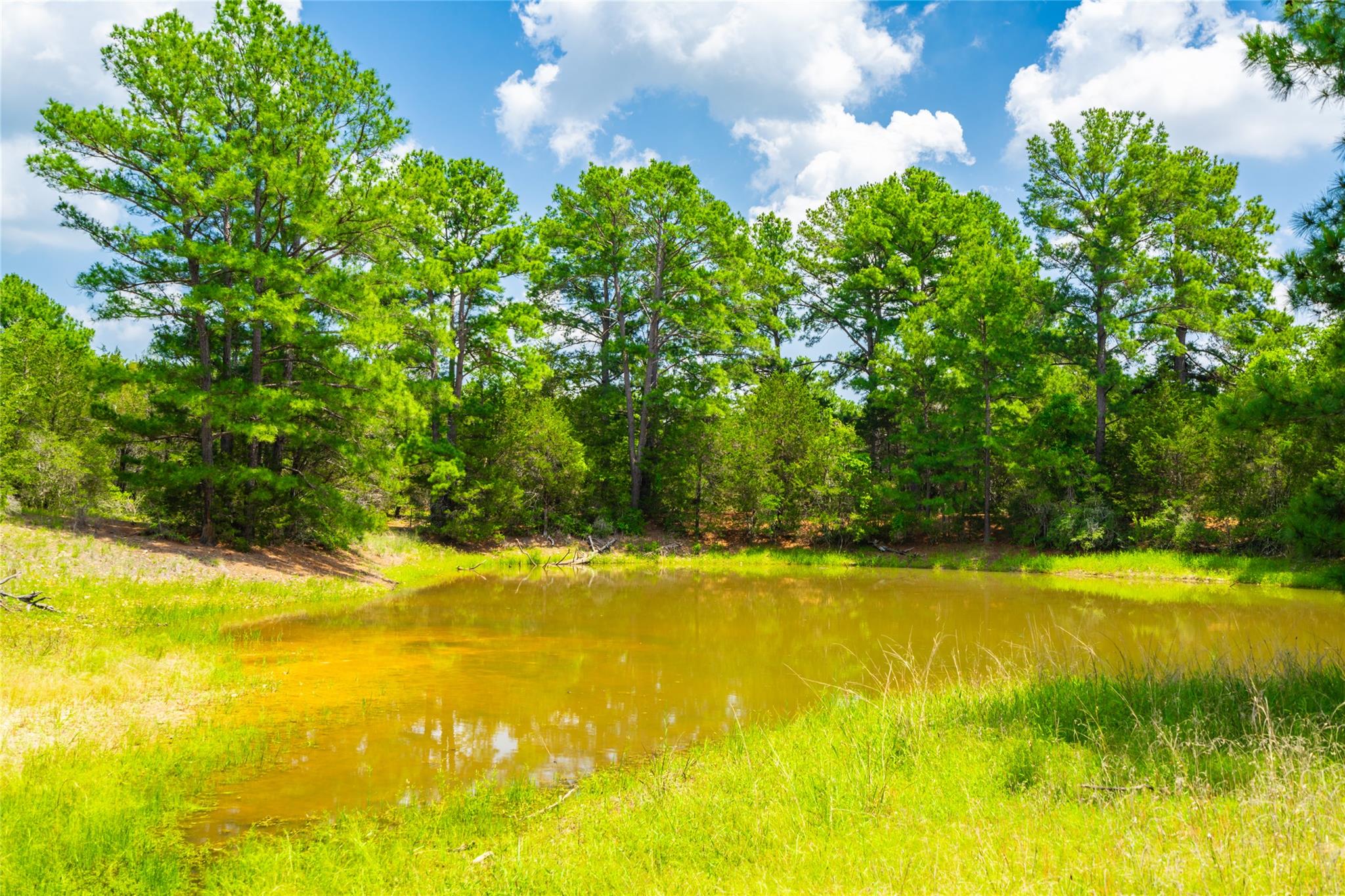 677 Old Antioch Rd, Smithville, TX 78957