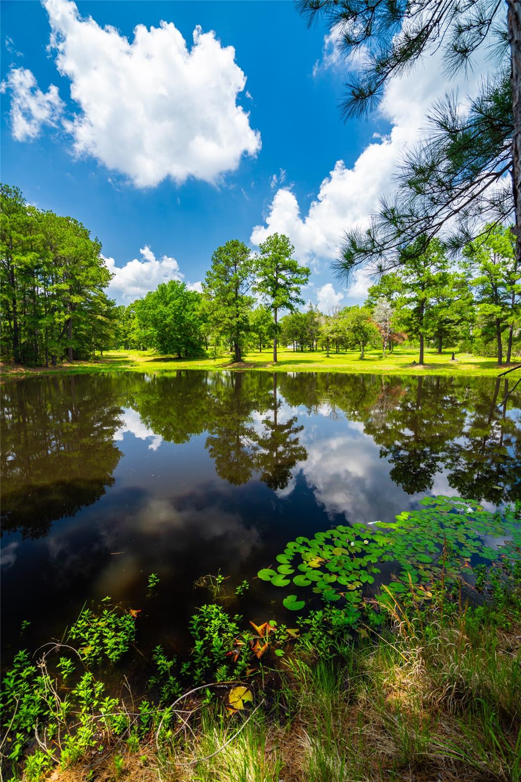 677 Old Antioch Rd, Smithville, TX 78957