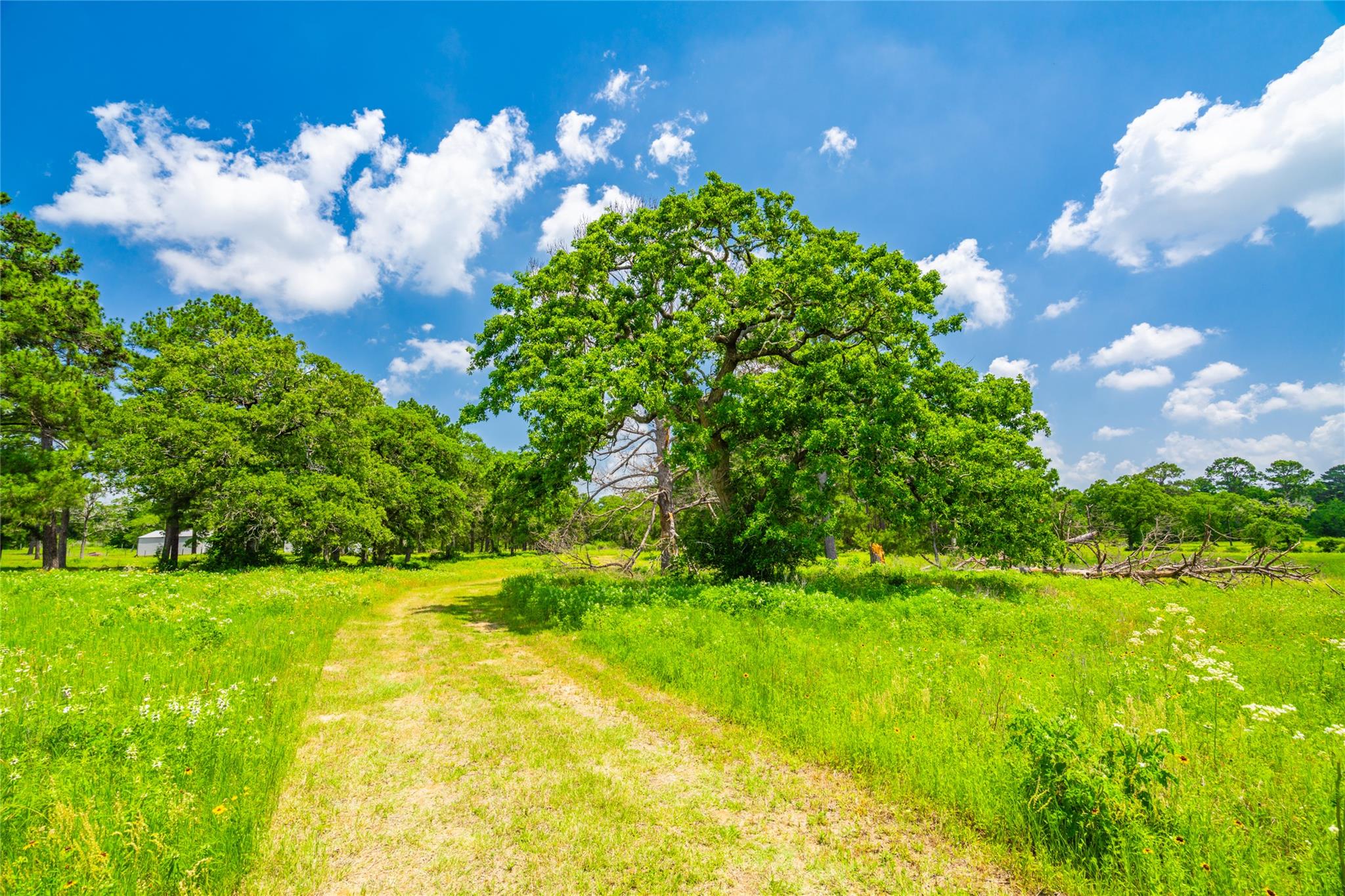 677 Old Antioch Rd, Smithville, TX 78957