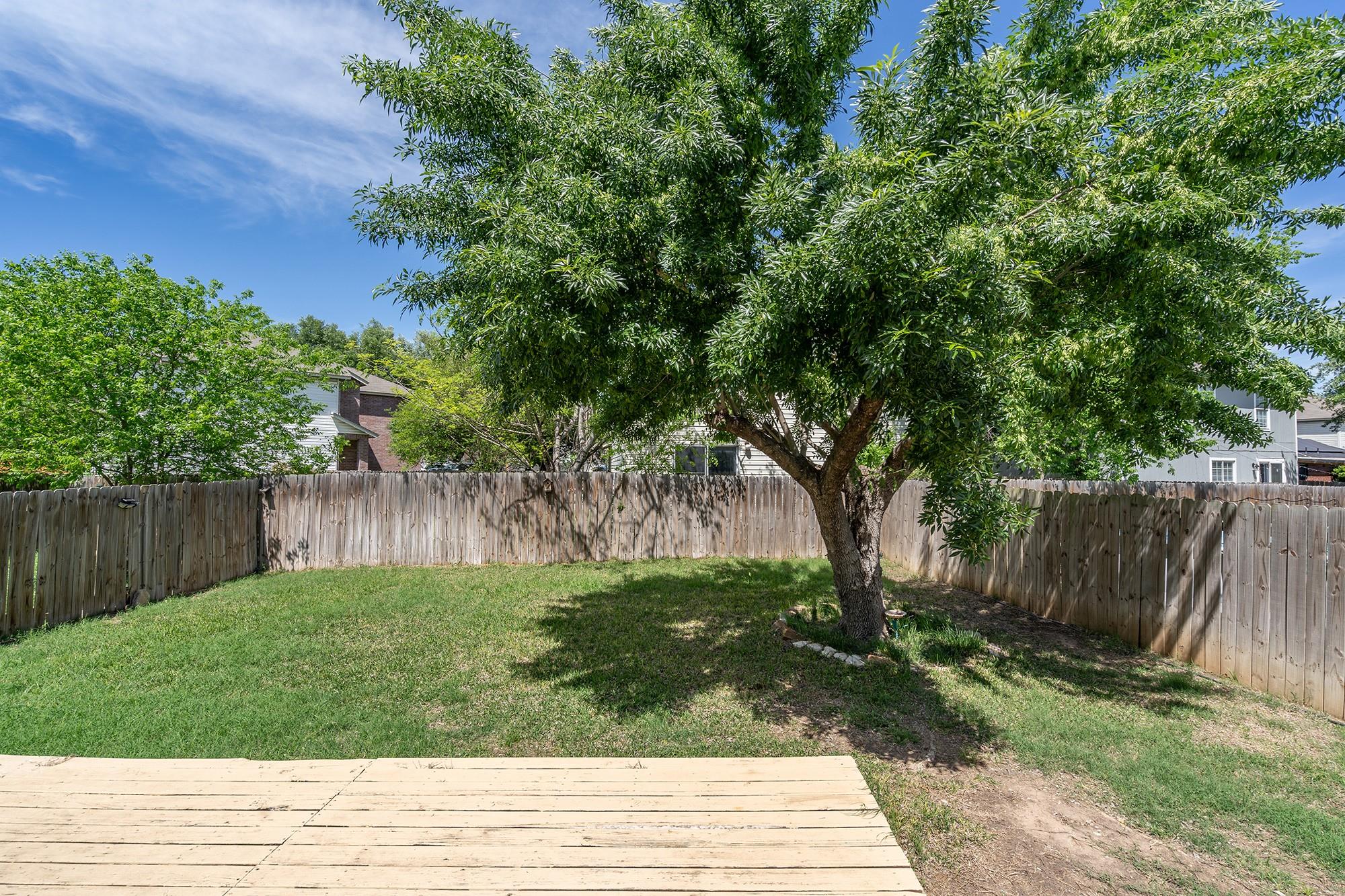 1305 Water Spaniel Way, Round Rock, TX 78664