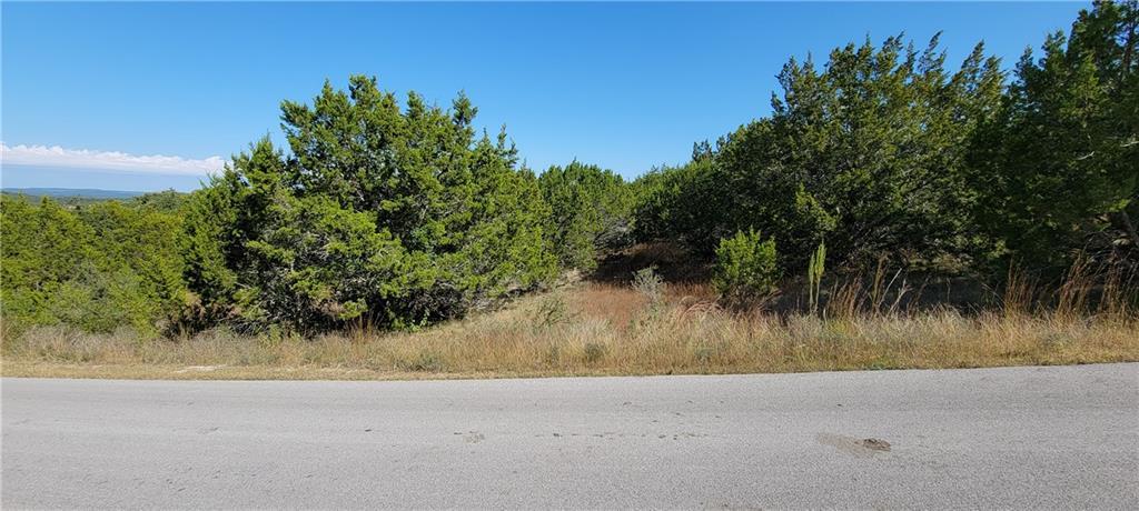 22317 Briarcliff Dr, Spicewood, TX 78669