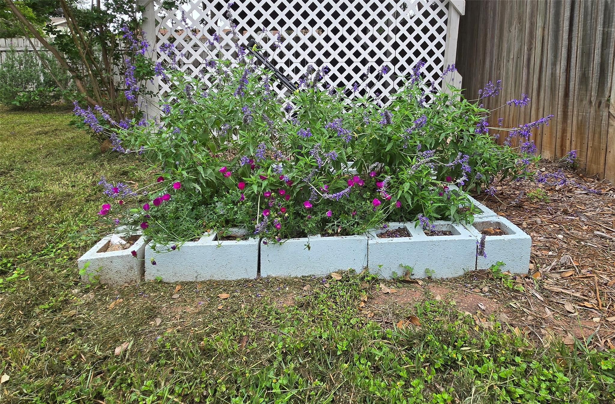 11906 Stout Oak Trl, Austin, TX 78750