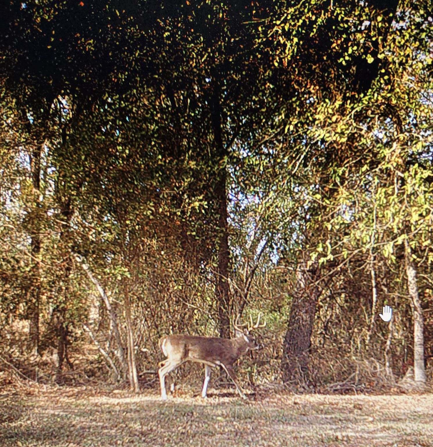 820 County Road 454, Taylor, TX 78615