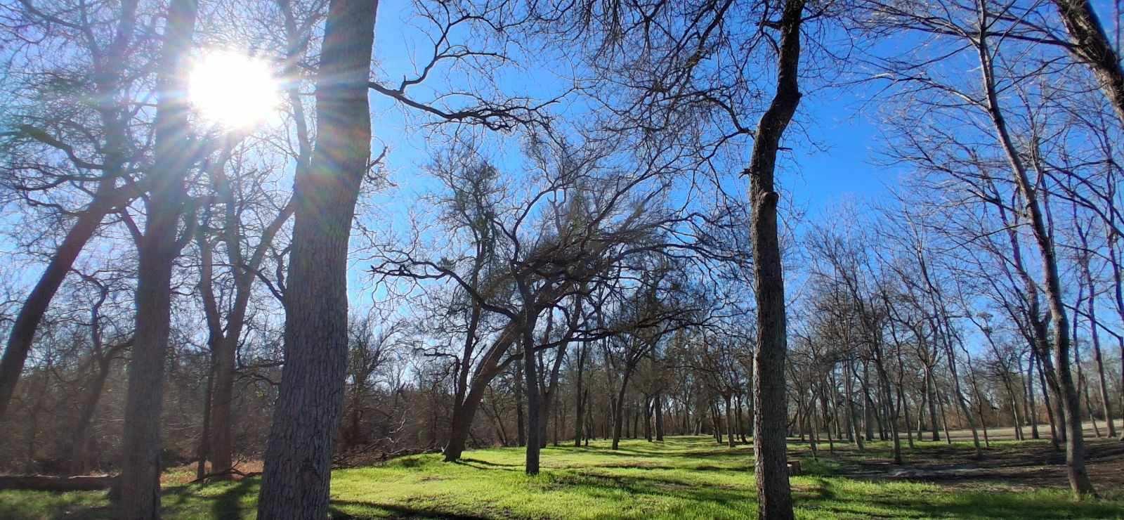 820 County Road 454, Taylor, TX 78615