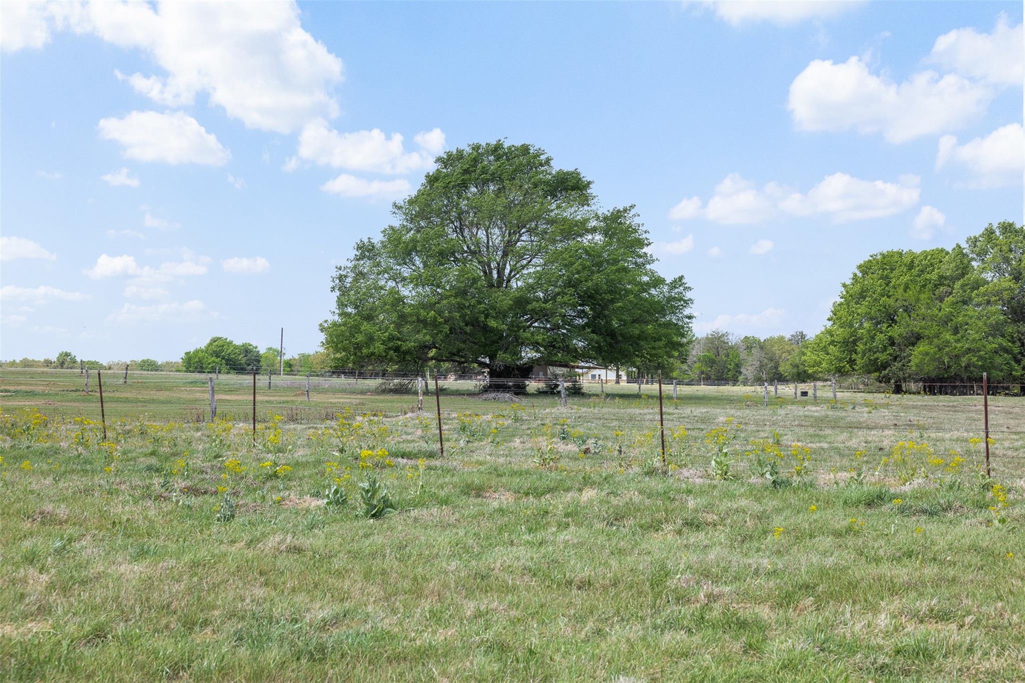 131 CR 279, Kosse, TX 76653