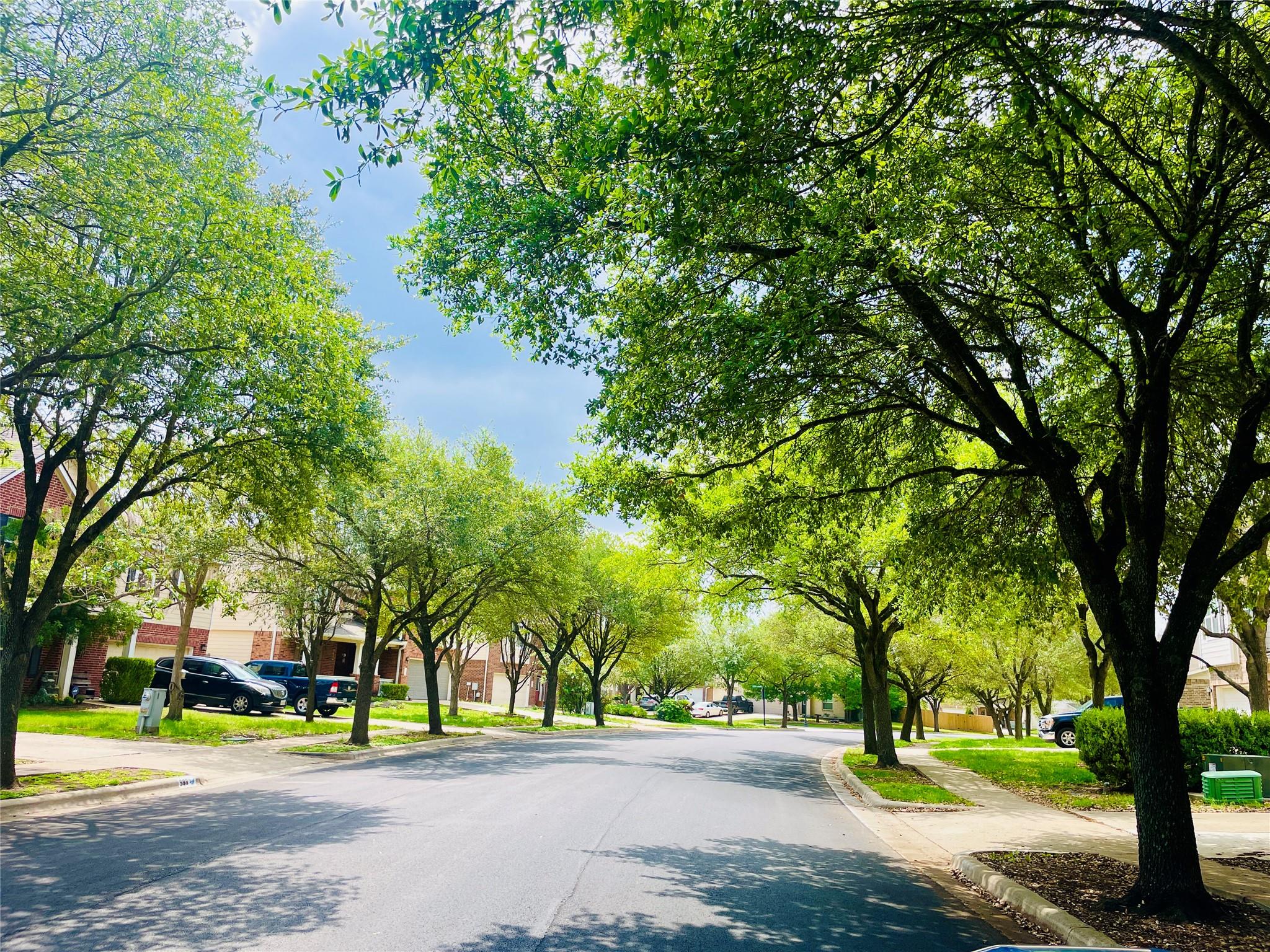 208 Birch Dr, Kyle, TX 78640