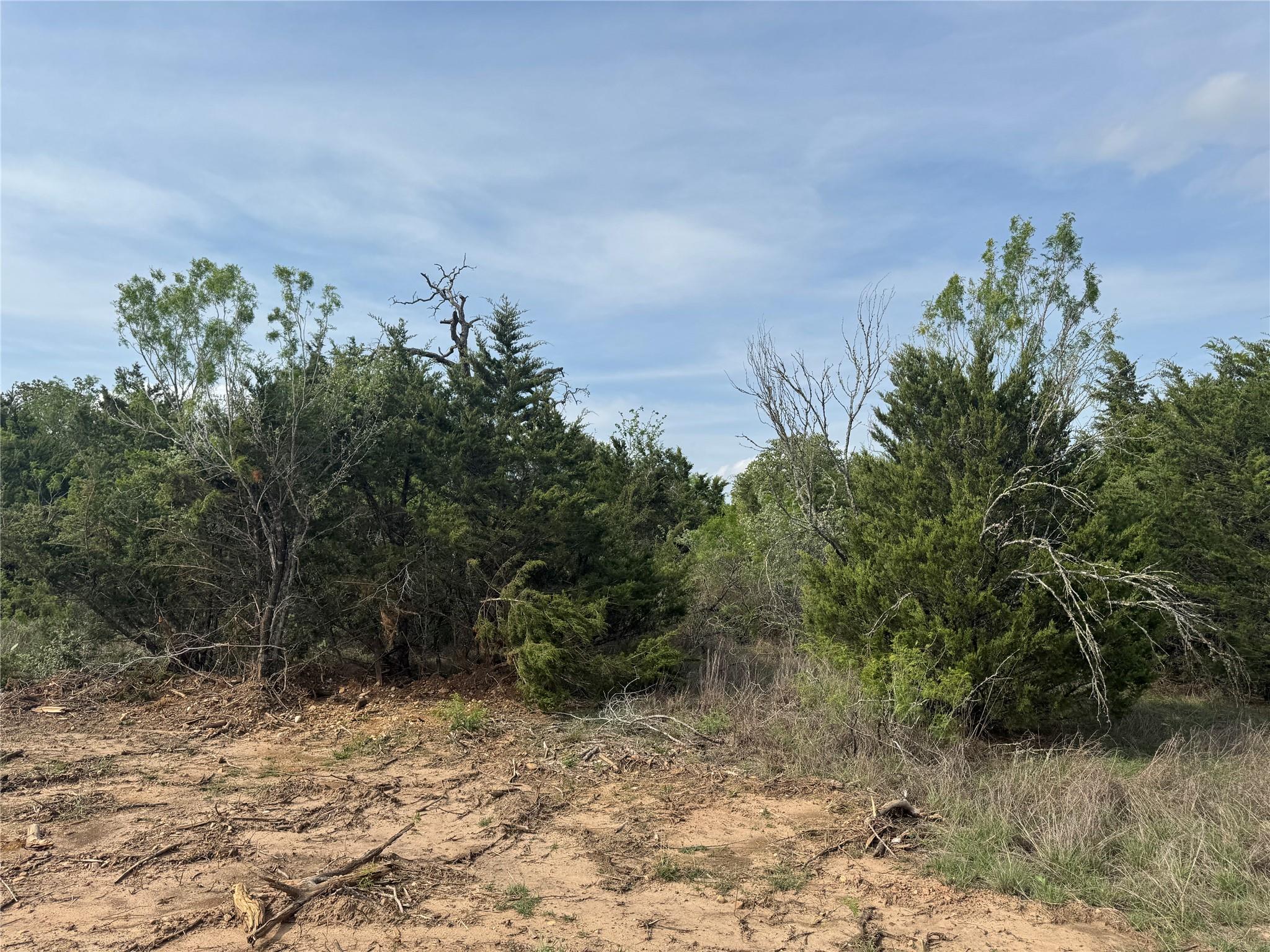 152 Della Ln, Cedar Creek, TX 78612