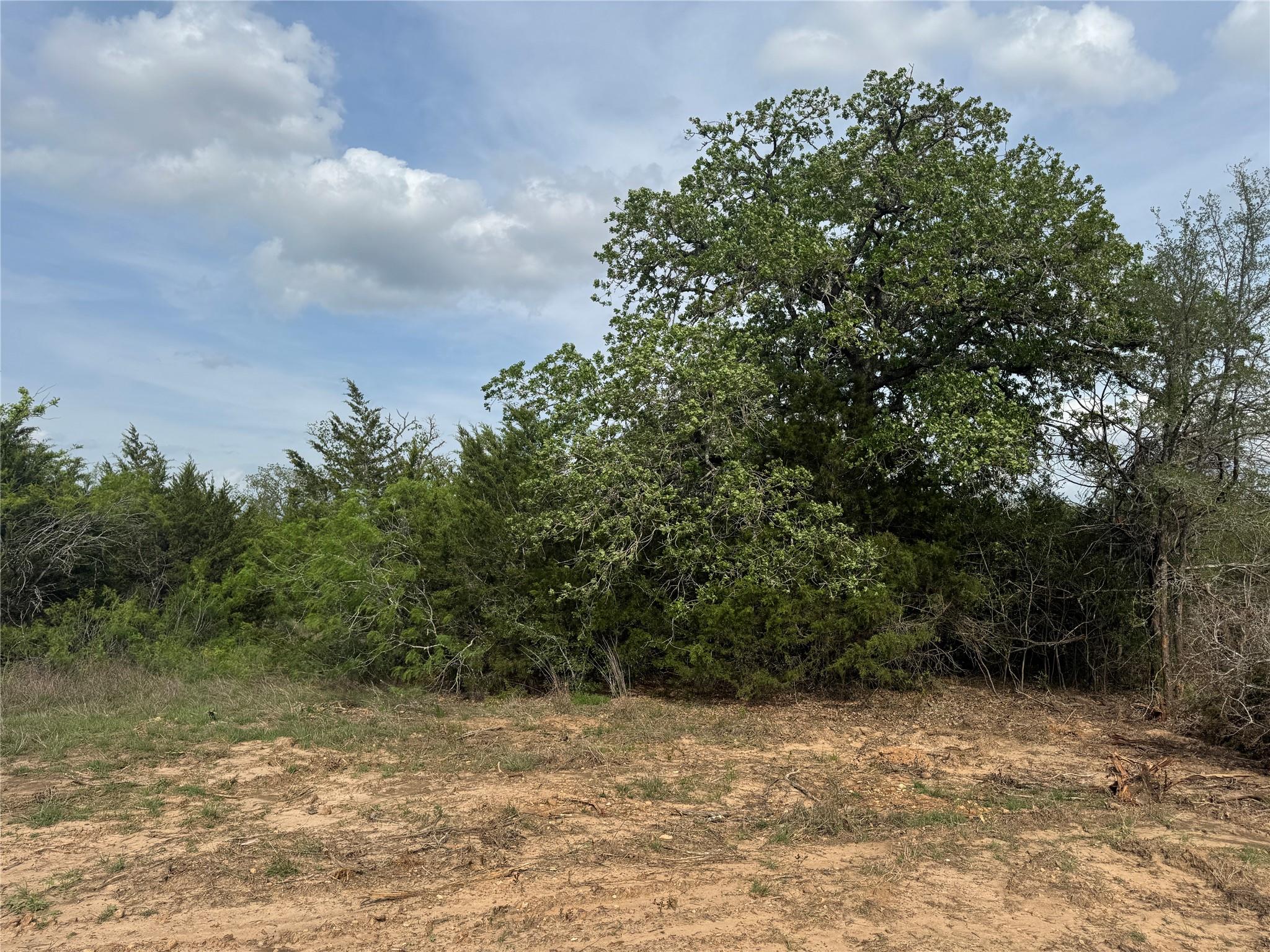 152 Della Ln, Cedar Creek, TX 78612