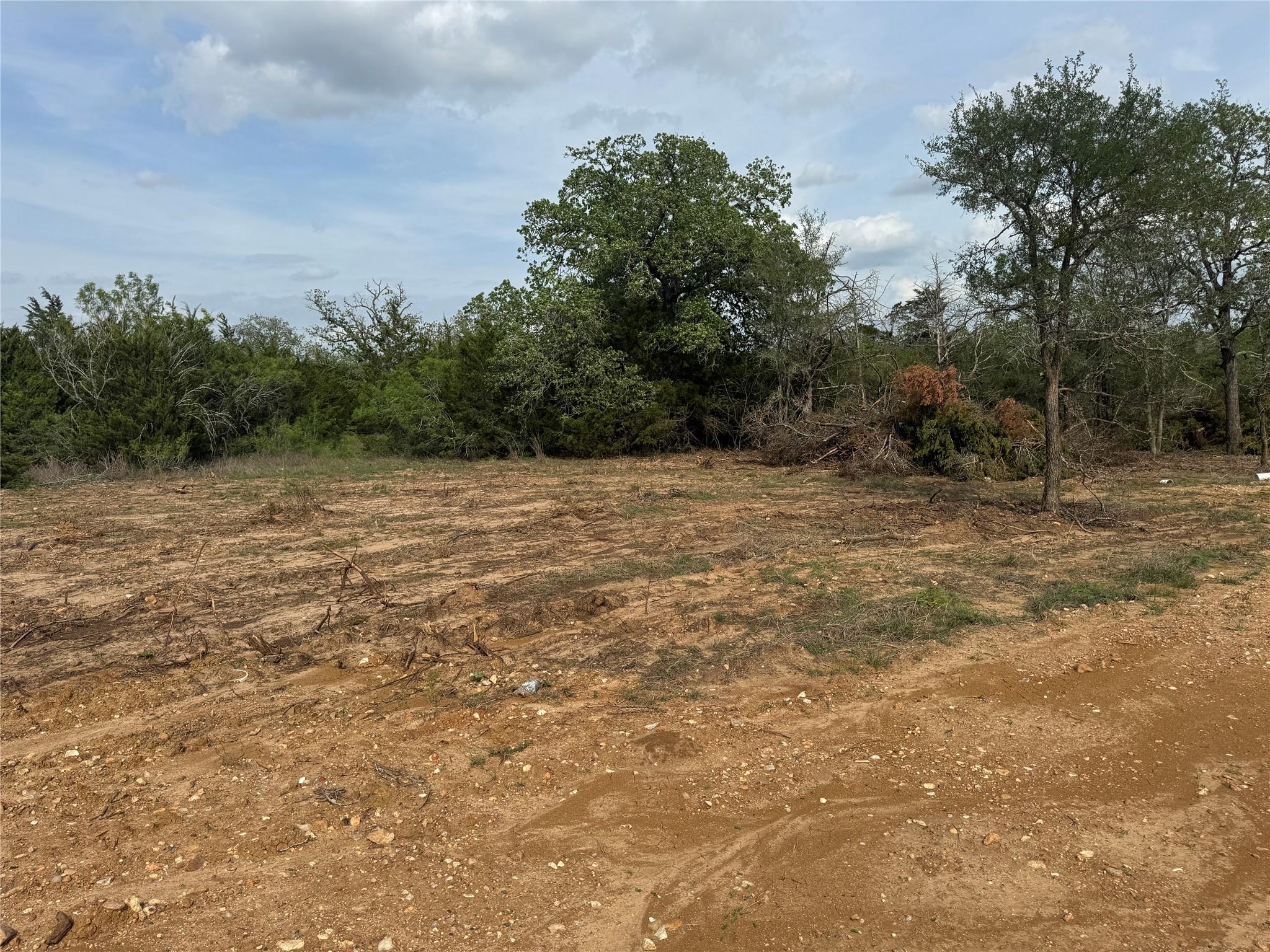 152 Della Ln, Cedar Creek, TX 78612