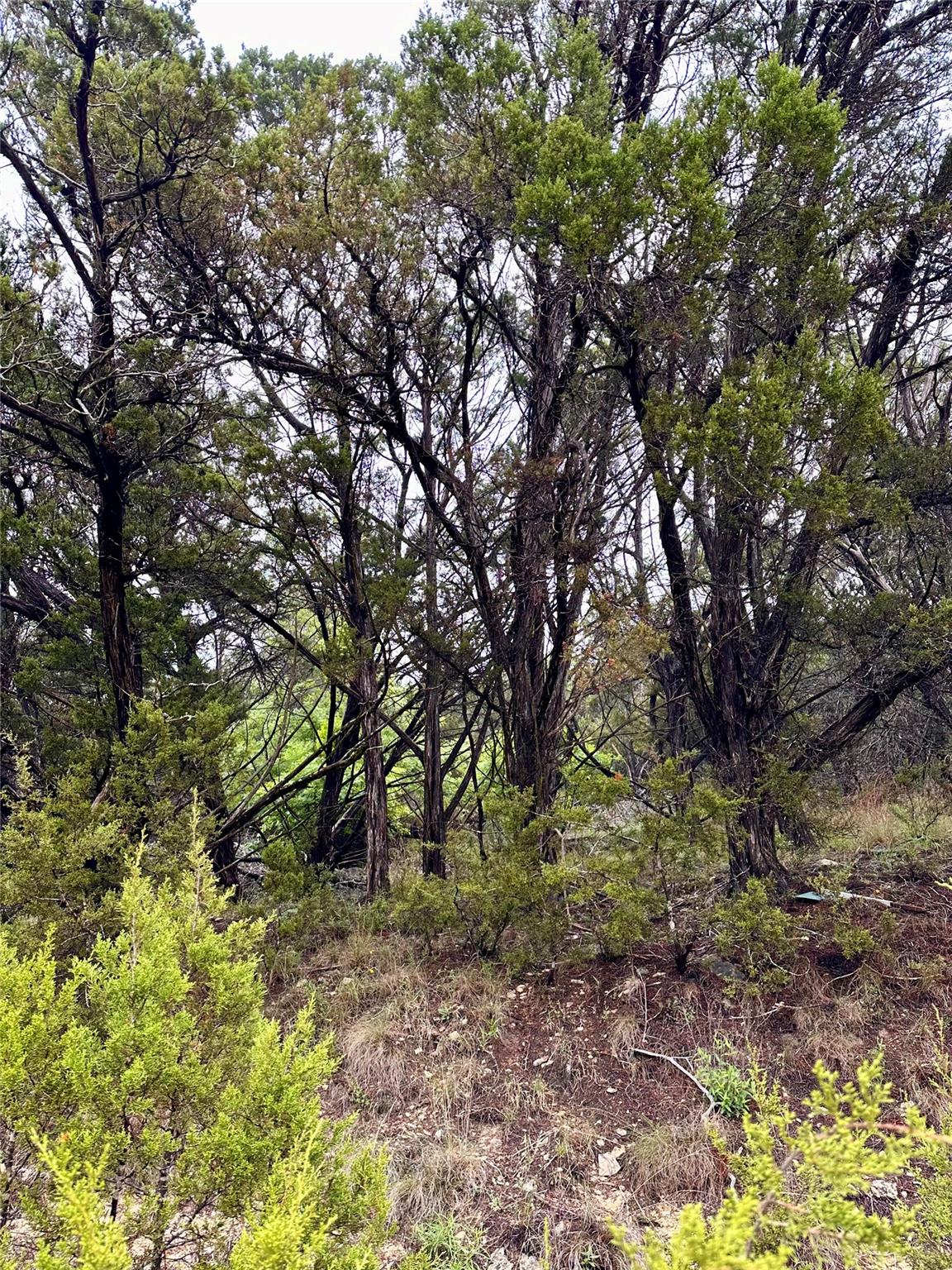 8419 Briar Wood Cir, Lago Vista, TX 78645