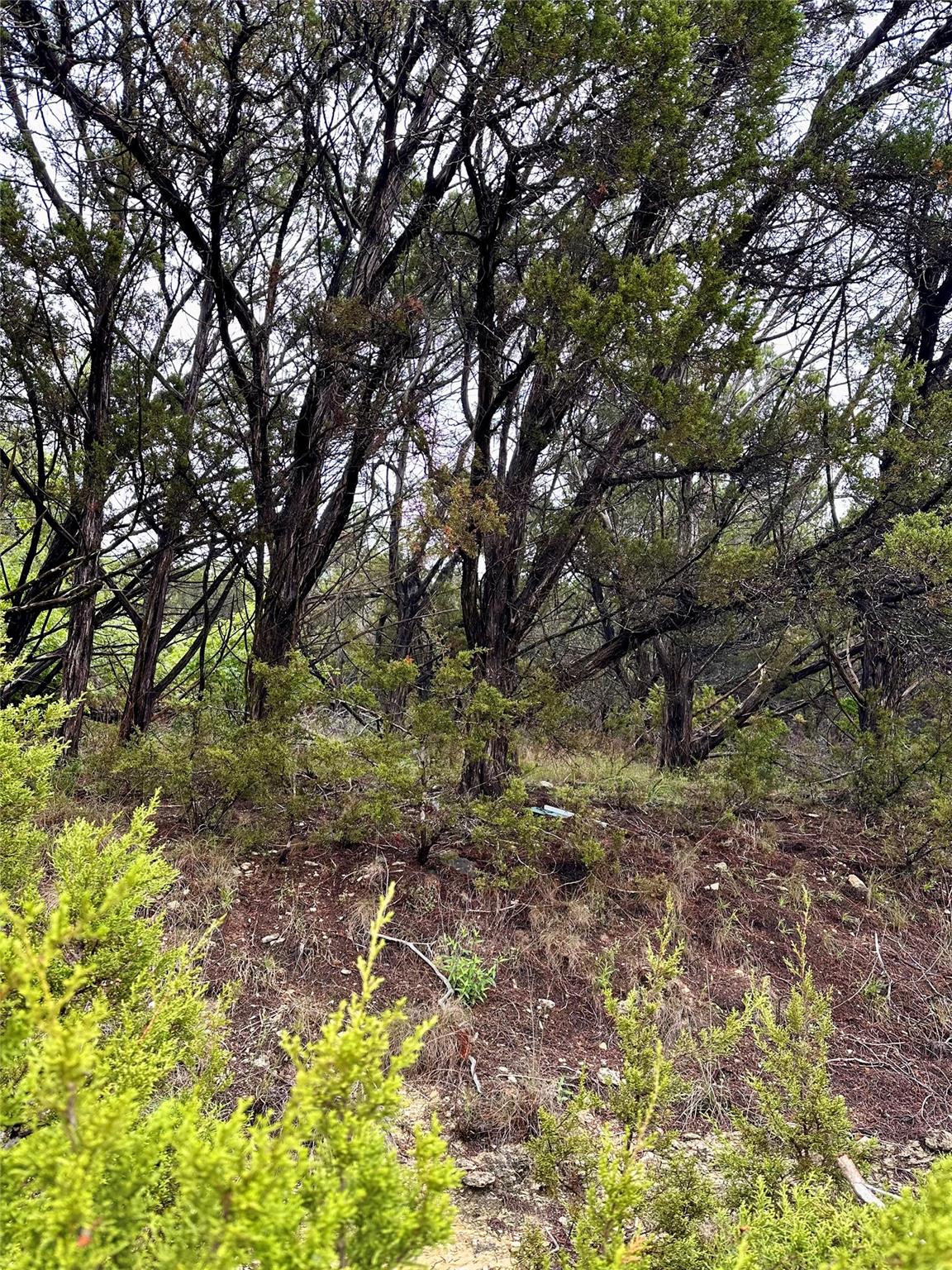 8419 Briar Wood Cir, Lago Vista, TX 78645