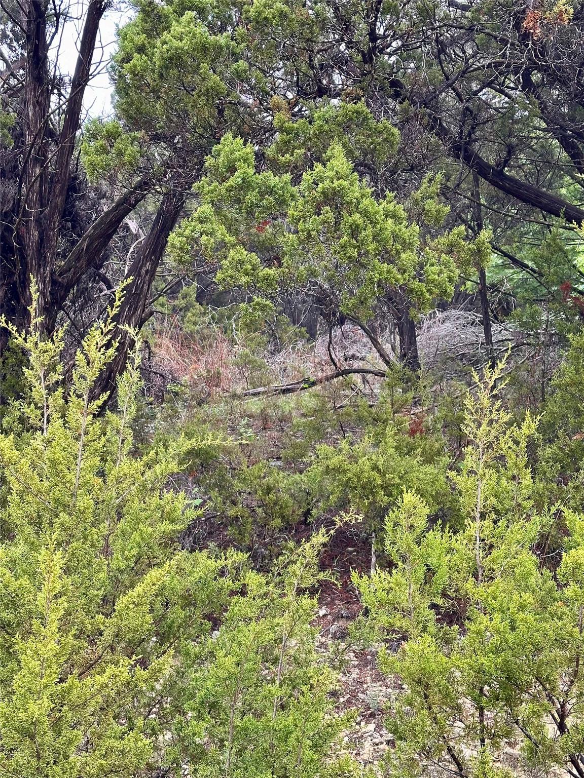 8419 Briar Wood Cir, Lago Vista, TX 78645