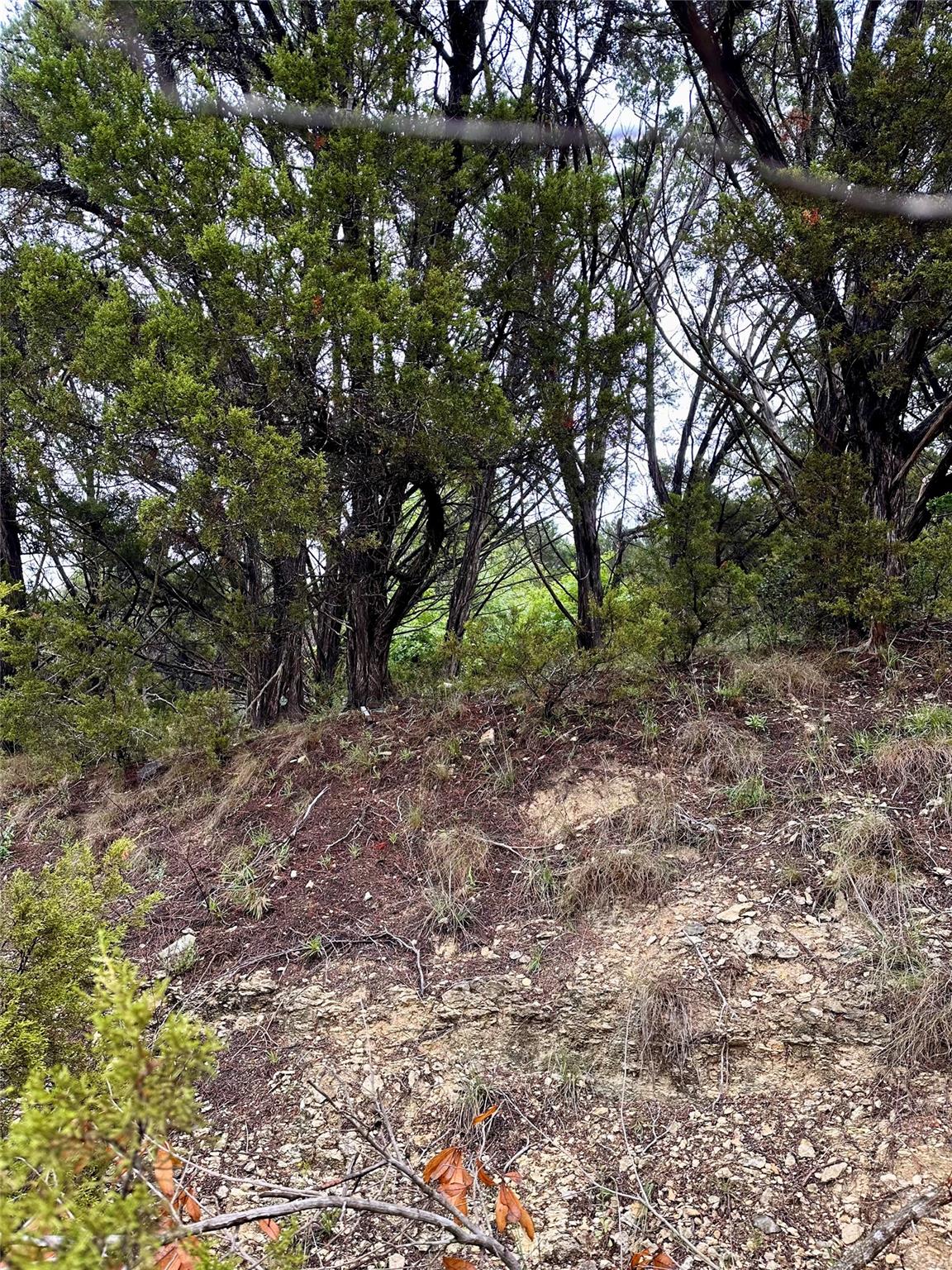 8419 Briar Wood Cir, Lago Vista, TX 78645