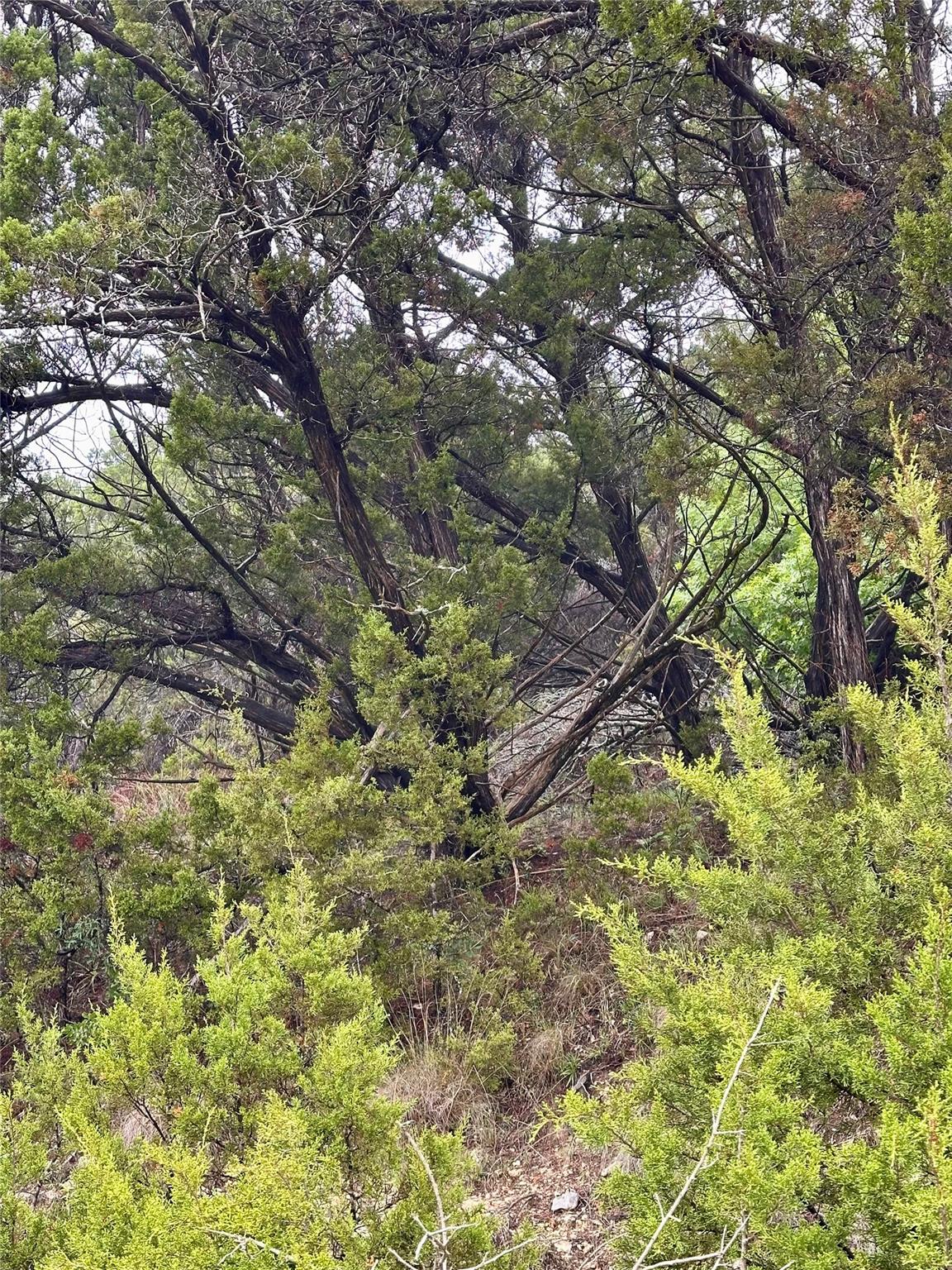 8419 Briar Wood Cir, Lago Vista, TX 78645