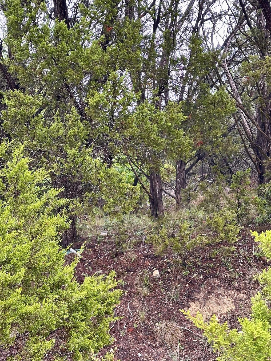 8419 Briar Wood Cir, Lago Vista, TX 78645