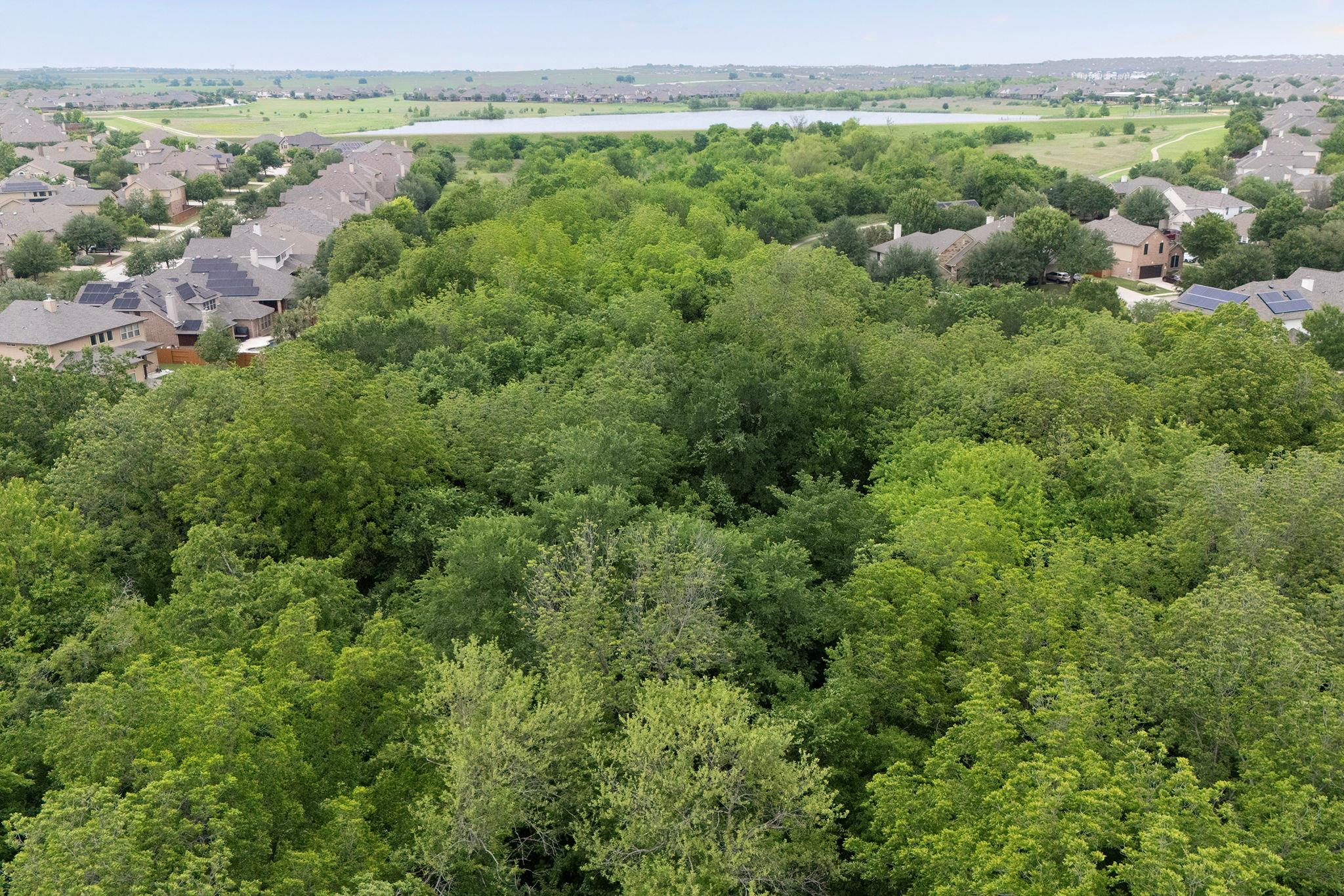 2807 Los Alamos Ct, Round Rock, TX 78665