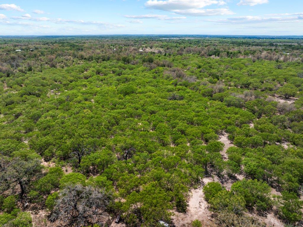 2124 Bugtussle Ln, Luling, TX 78648