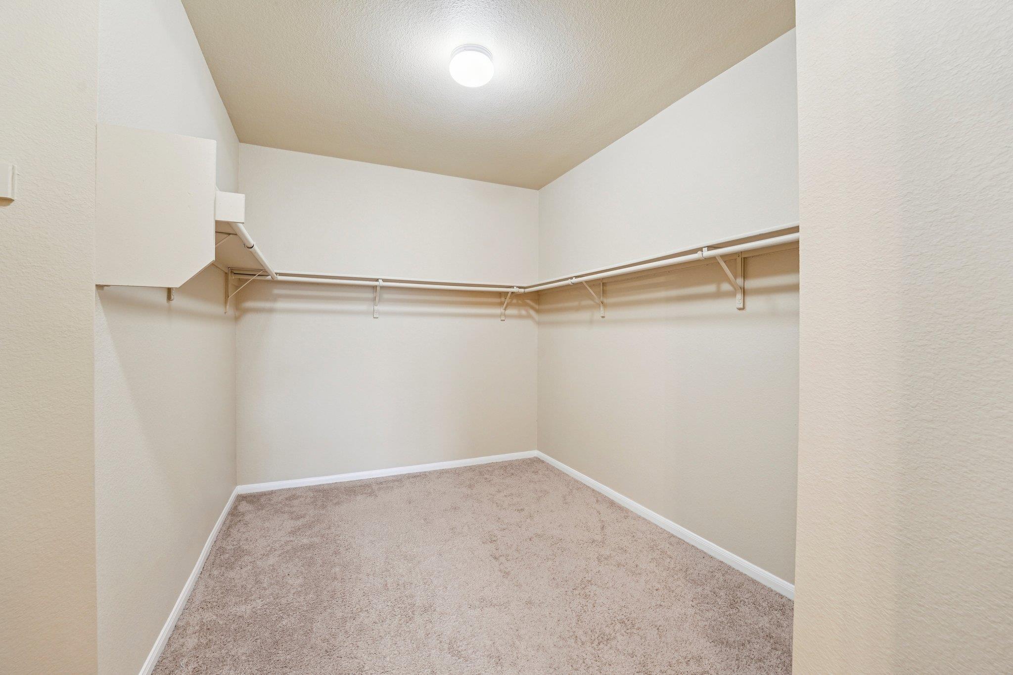 223 Camellia Dr, Hutto, TX 78634