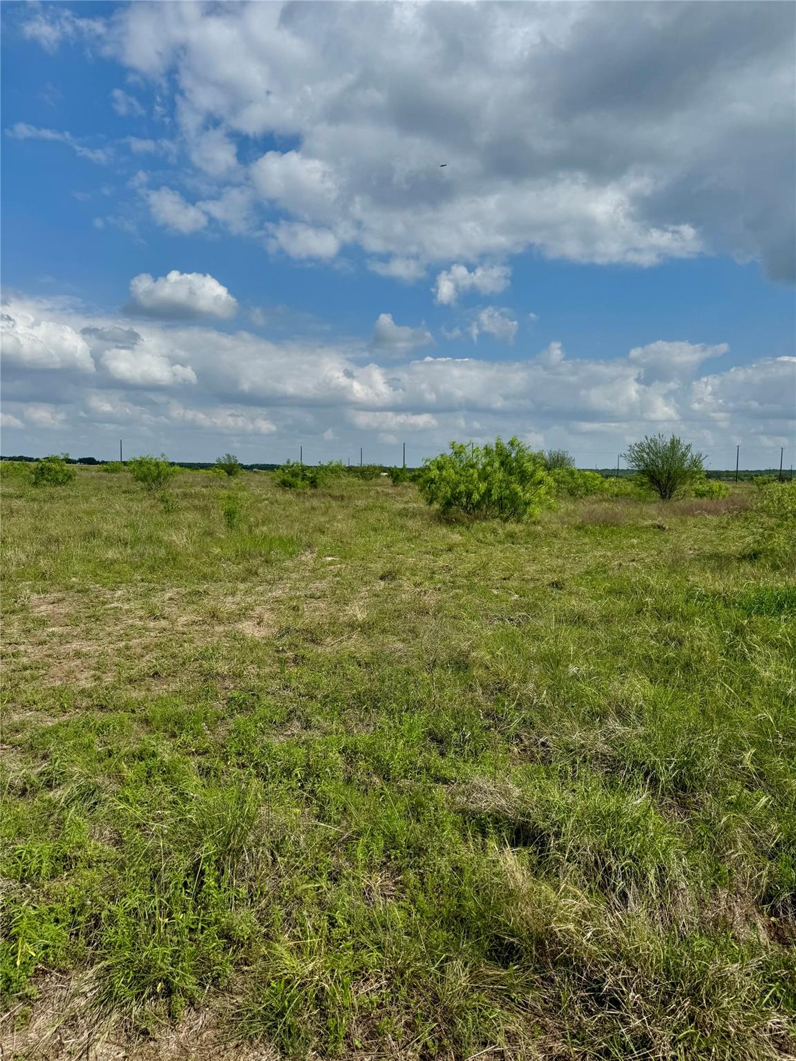 TBD Lot 14 CR 473, Thrall, TX 76578