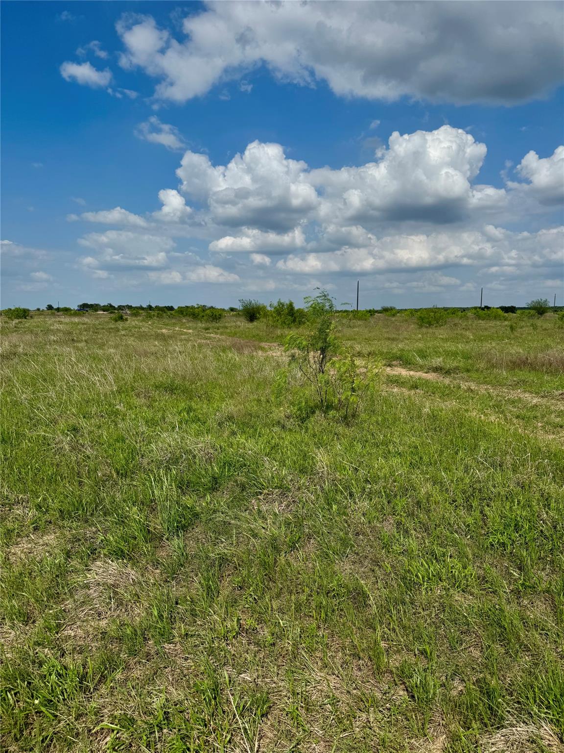 TBD Lot 14 CR 473, Thrall, TX 76578